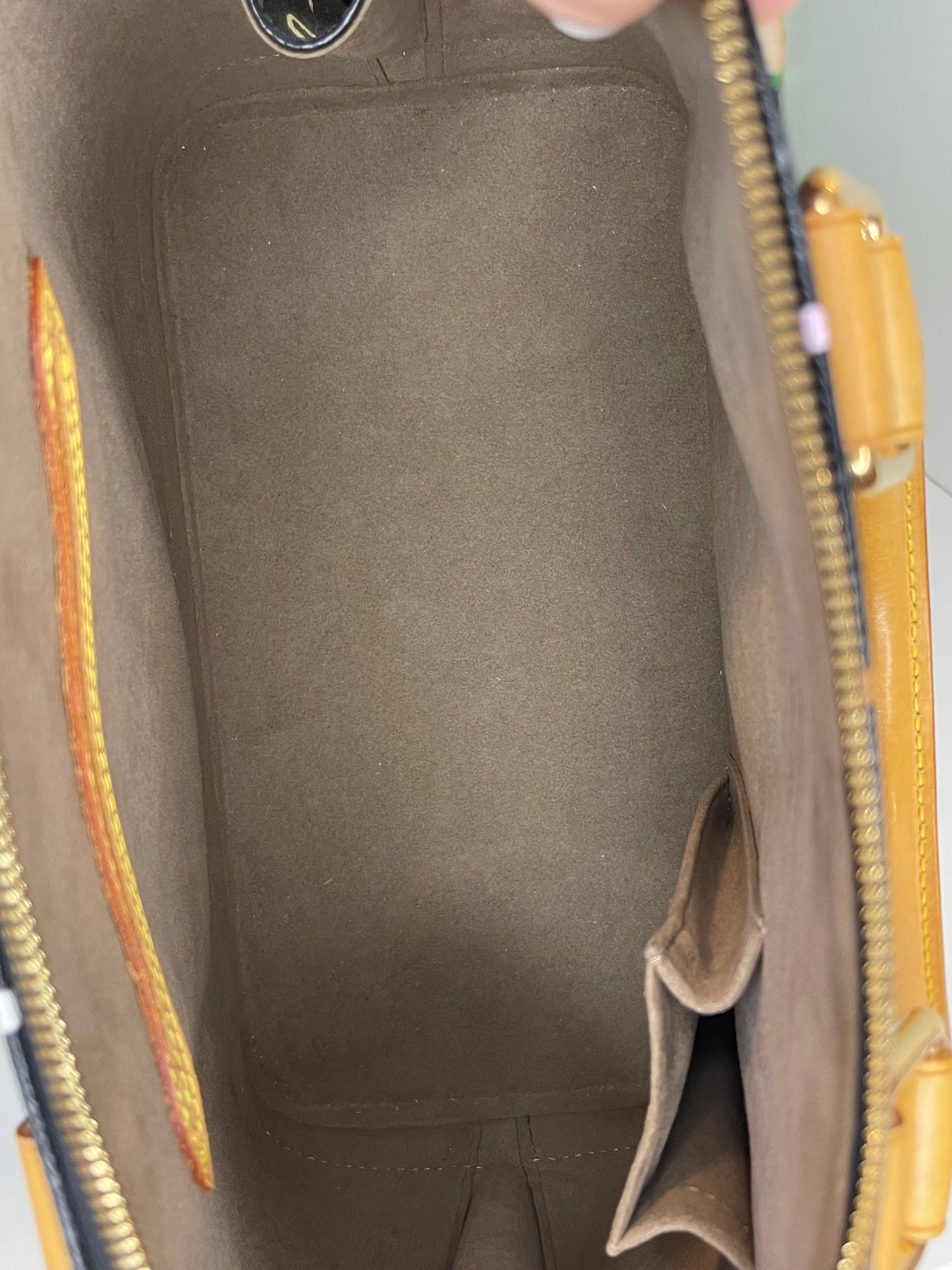 Louis Vuitton Black Multicolor Alma PM
