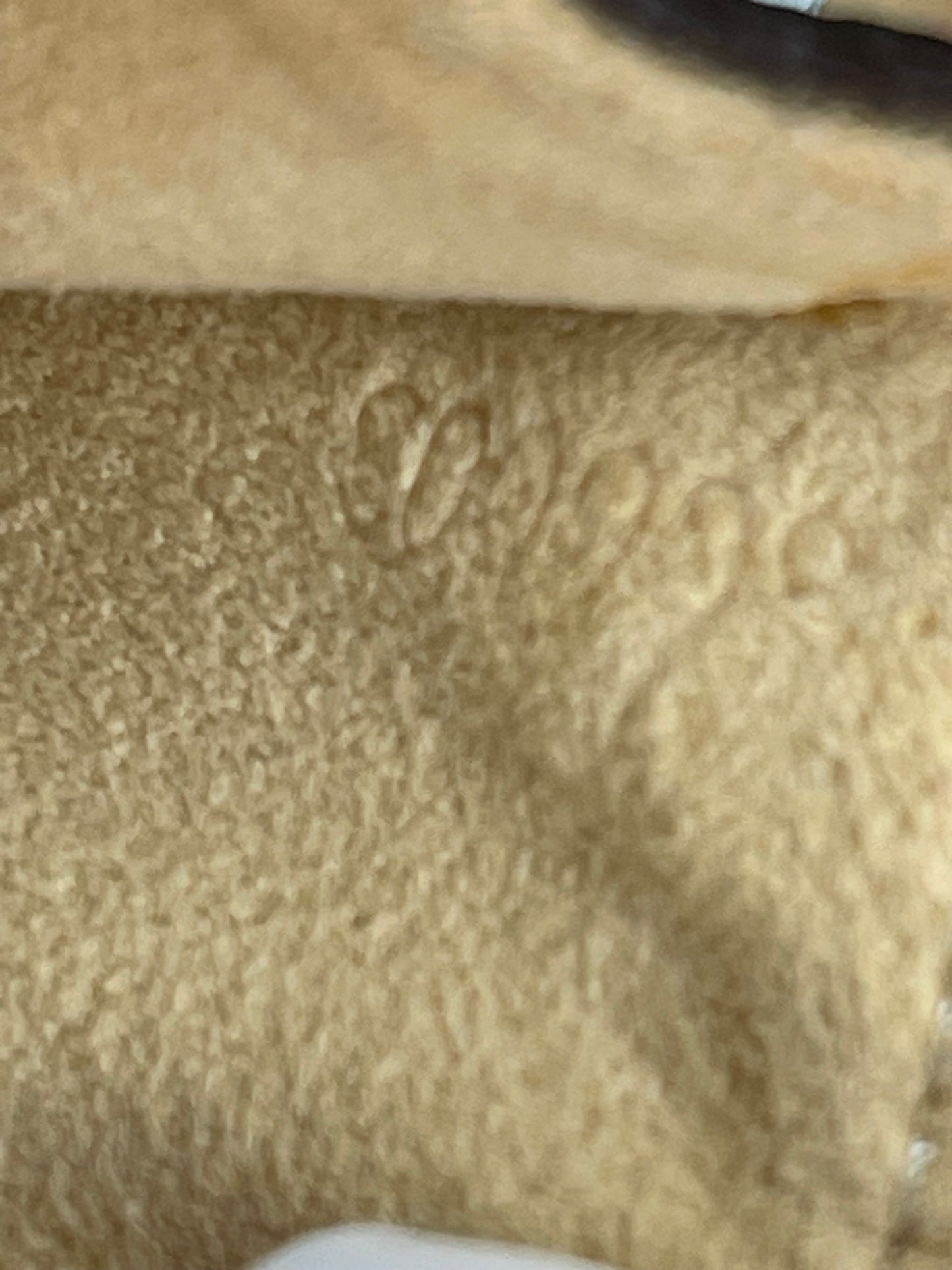 Preowned Louis Vuitton Monogram Twin Pochette GM Shoulder Bag