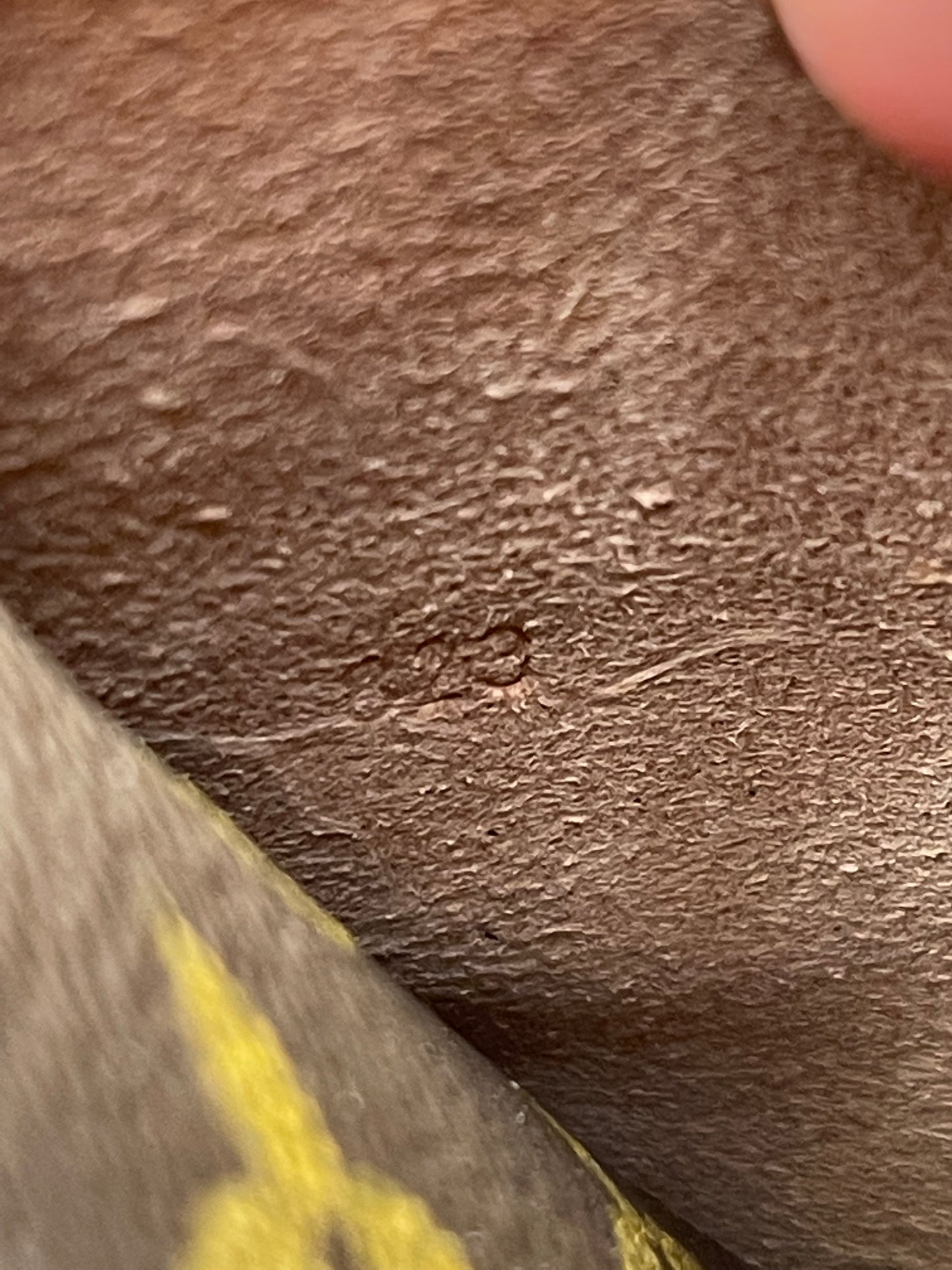 RARE! Louis Vuitton Monogram Portable Serviette Organizer Crossbody