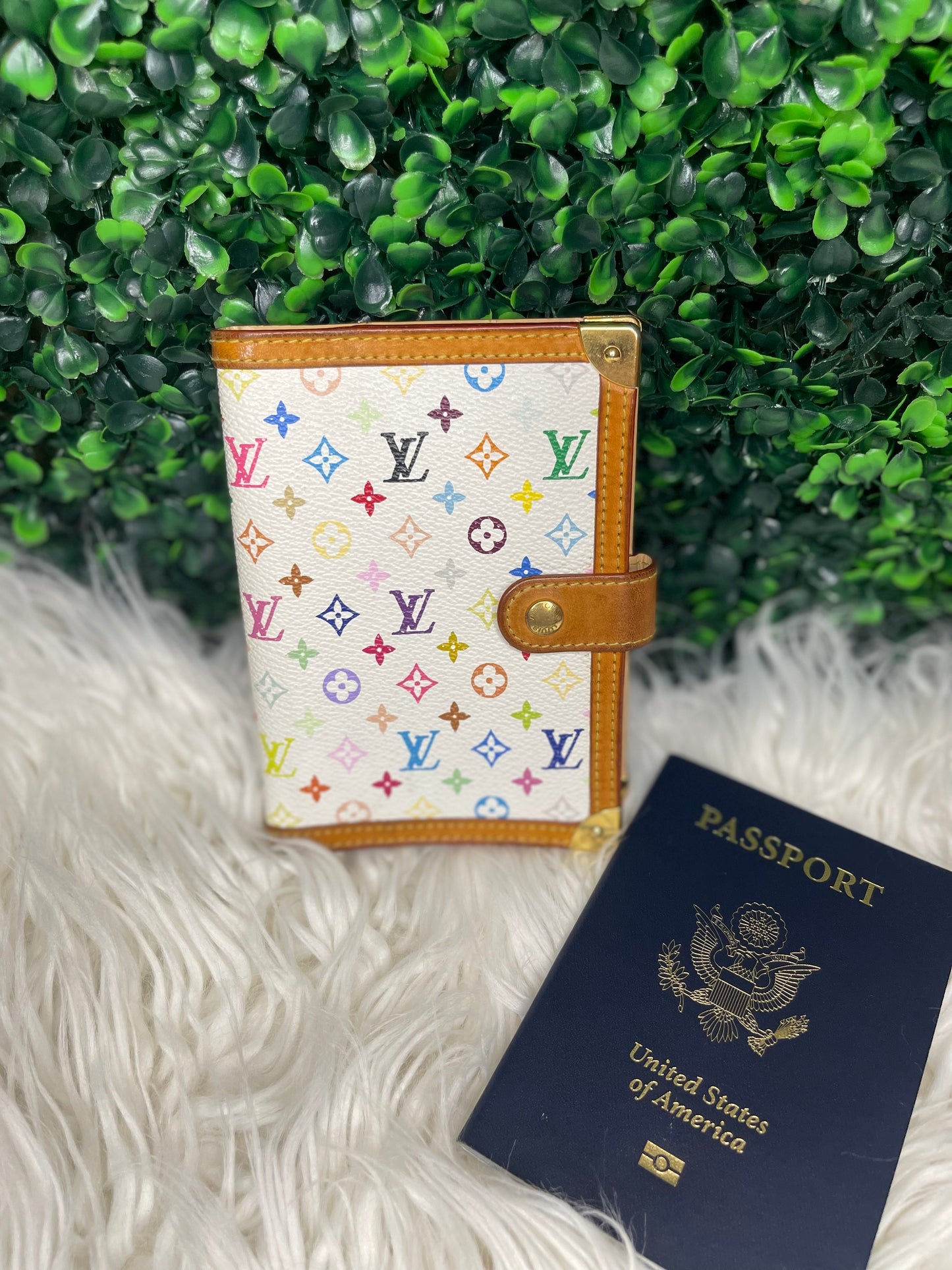 Louis Vuitton Multi-color Agenda PM