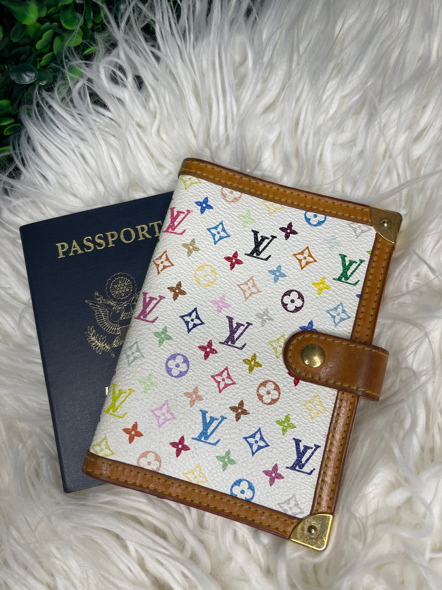 Louis Vuitton Multi-color Agenda PM