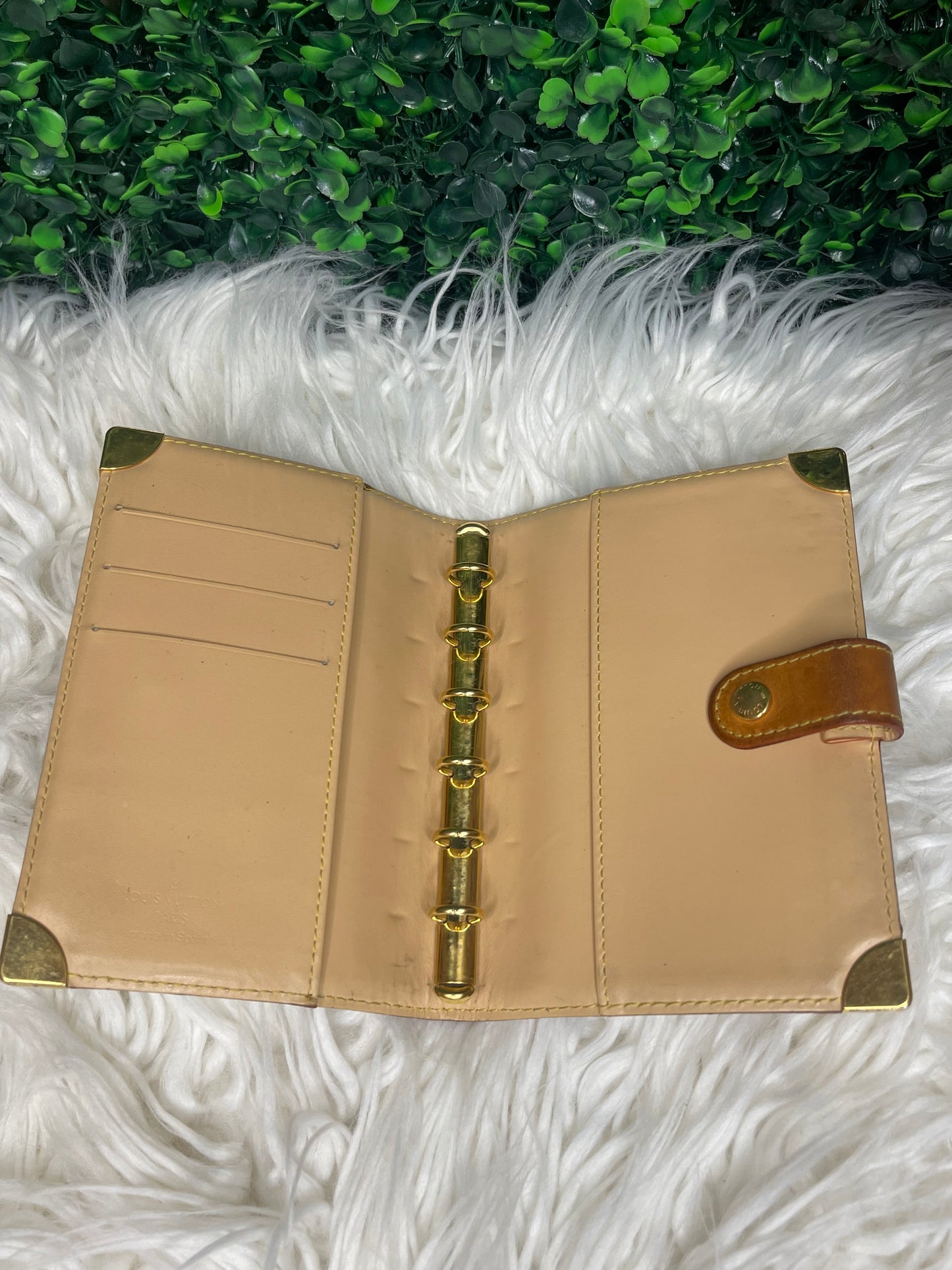 Louis Vuitton Multi-color Agenda PM