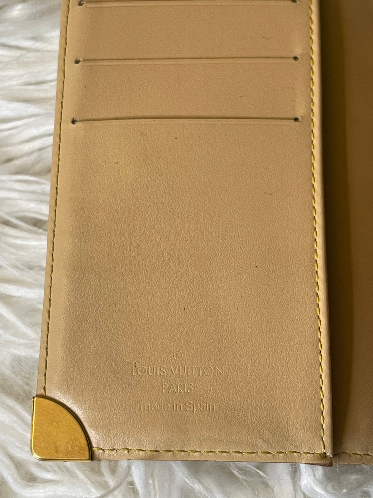 Louis Vuitton Multi-color Agenda PM