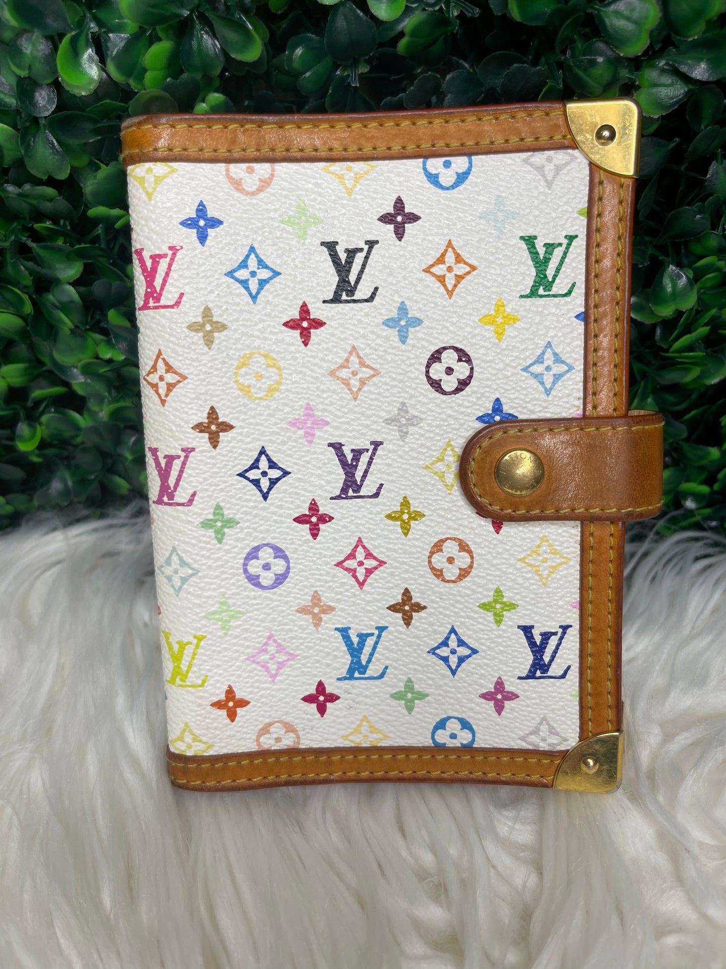 Louis Vuitton Multi-color Agenda PM