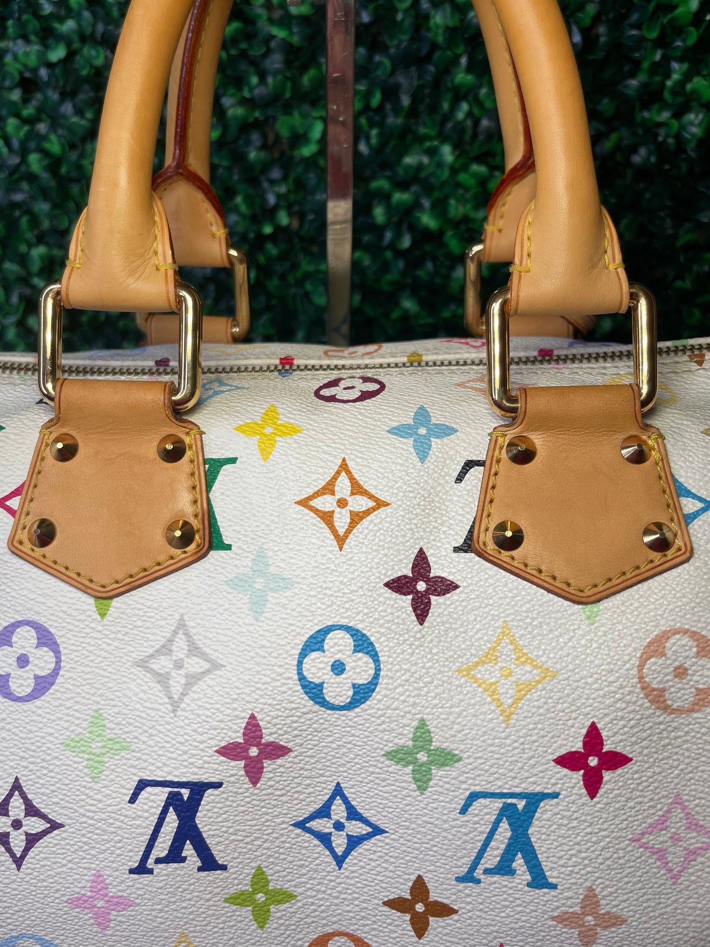 LV Multicolor Speedy 30