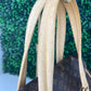 Preowned Louis Vuitton Monogram Beverly GM Handbag