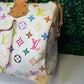 LV Multicolor Speedy 30