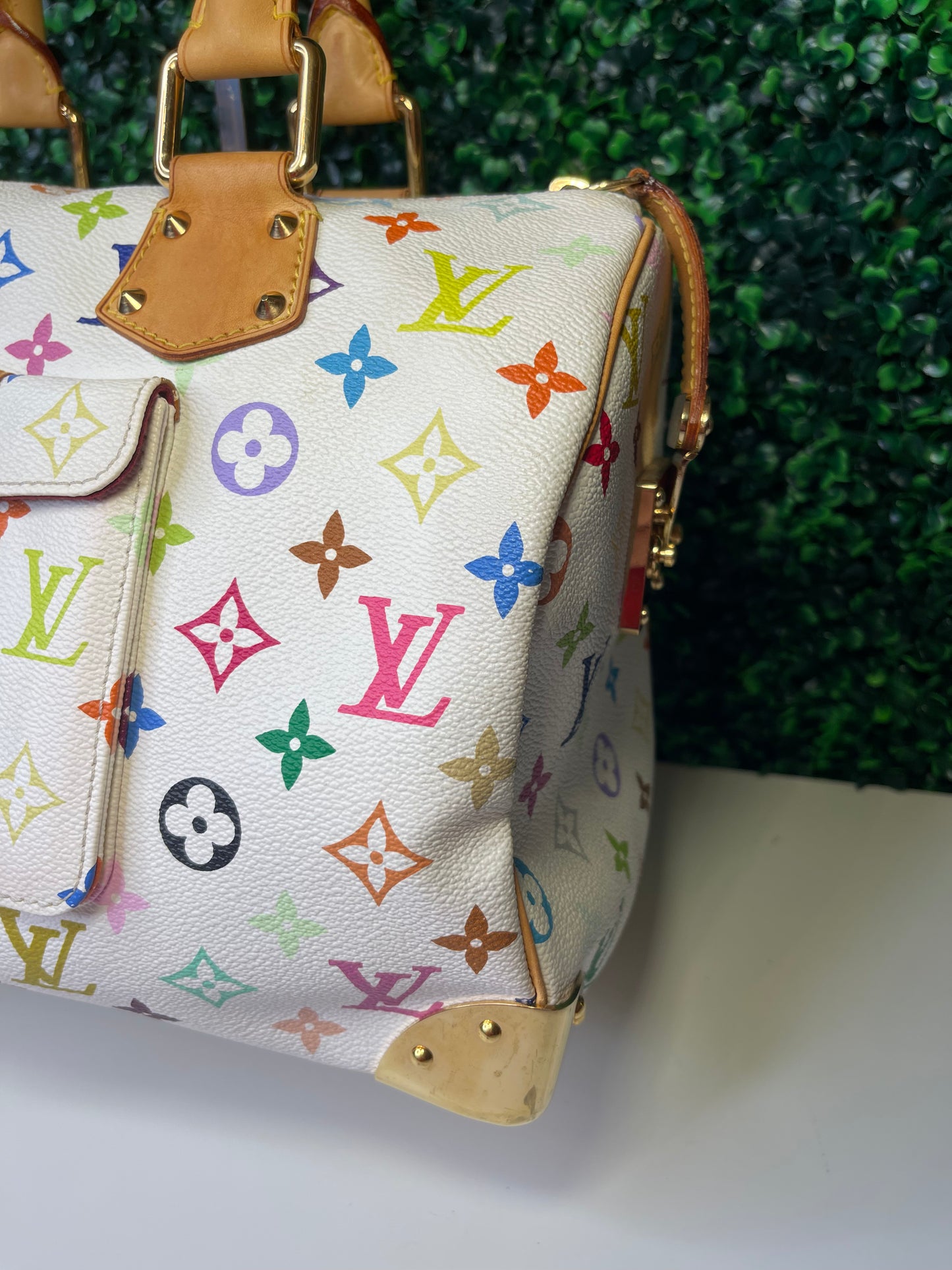 LV Multicolor Speedy 30