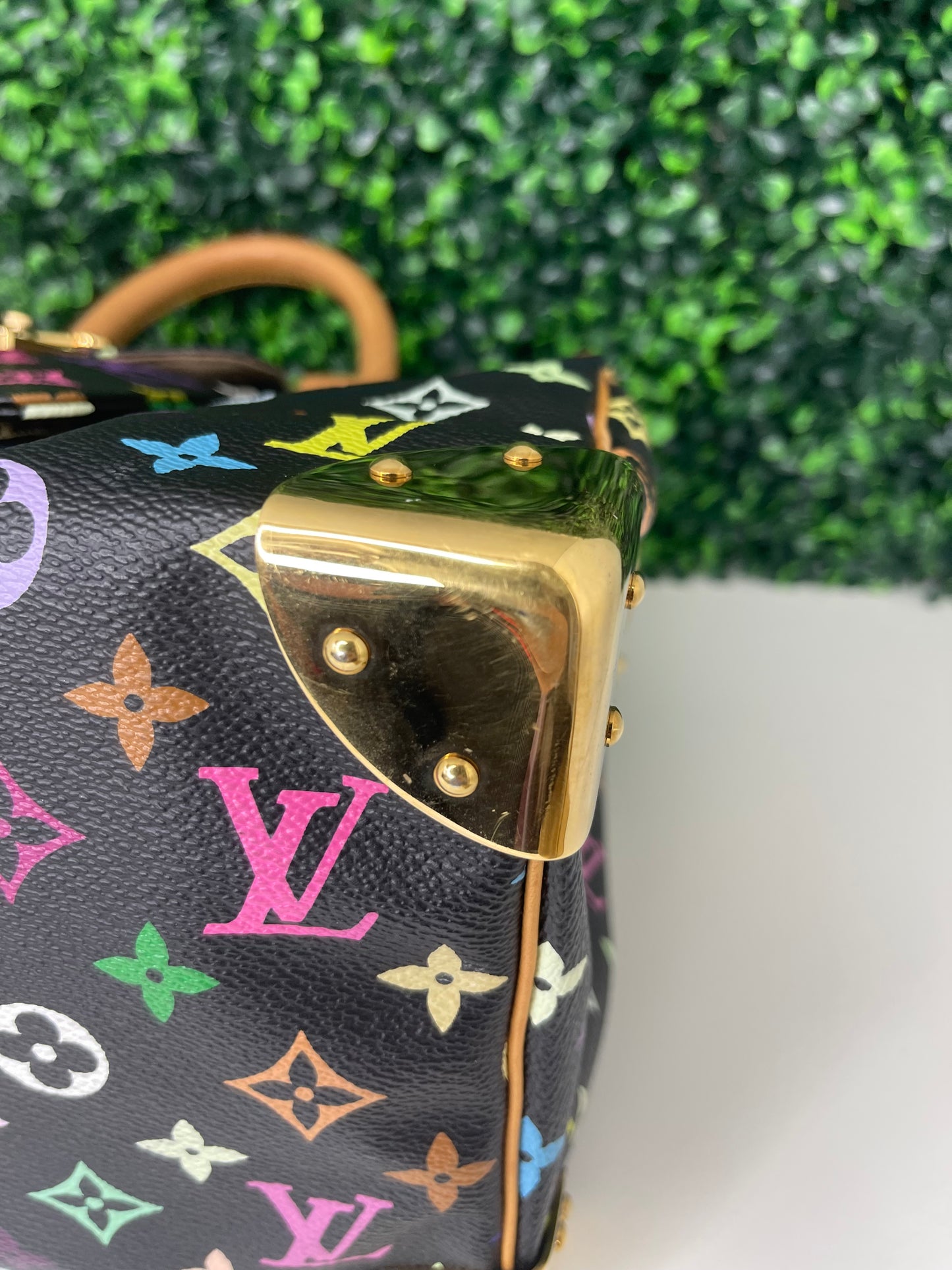 Louis Vuitton Black Multicolor Speedy 30 (SP1014)