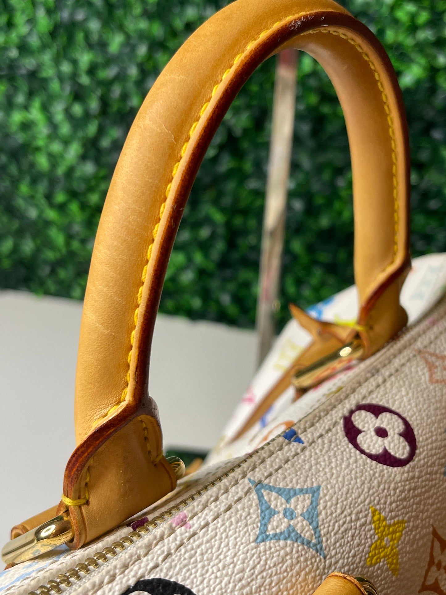 LV Multicolor Speedy 30