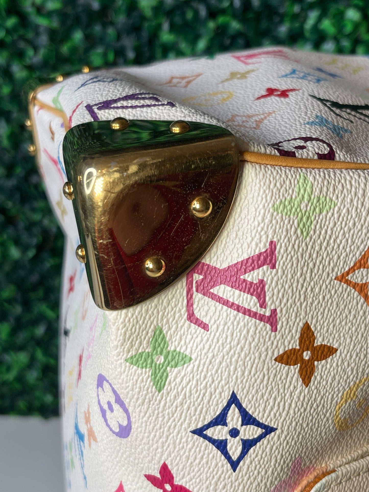 LV Multicolor Speedy 30