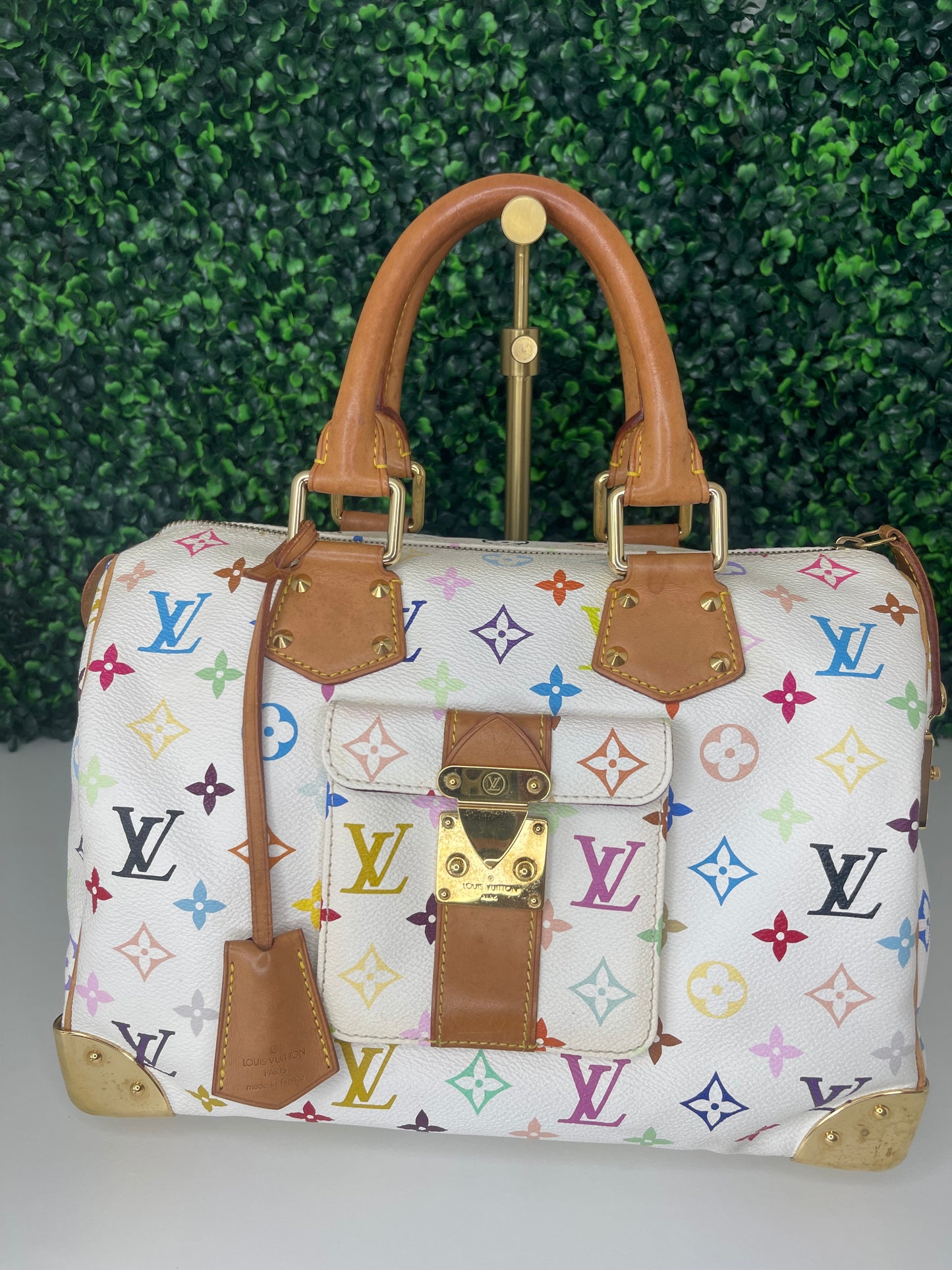 Preowned Louis Vuitton Multicolor Speedy 30