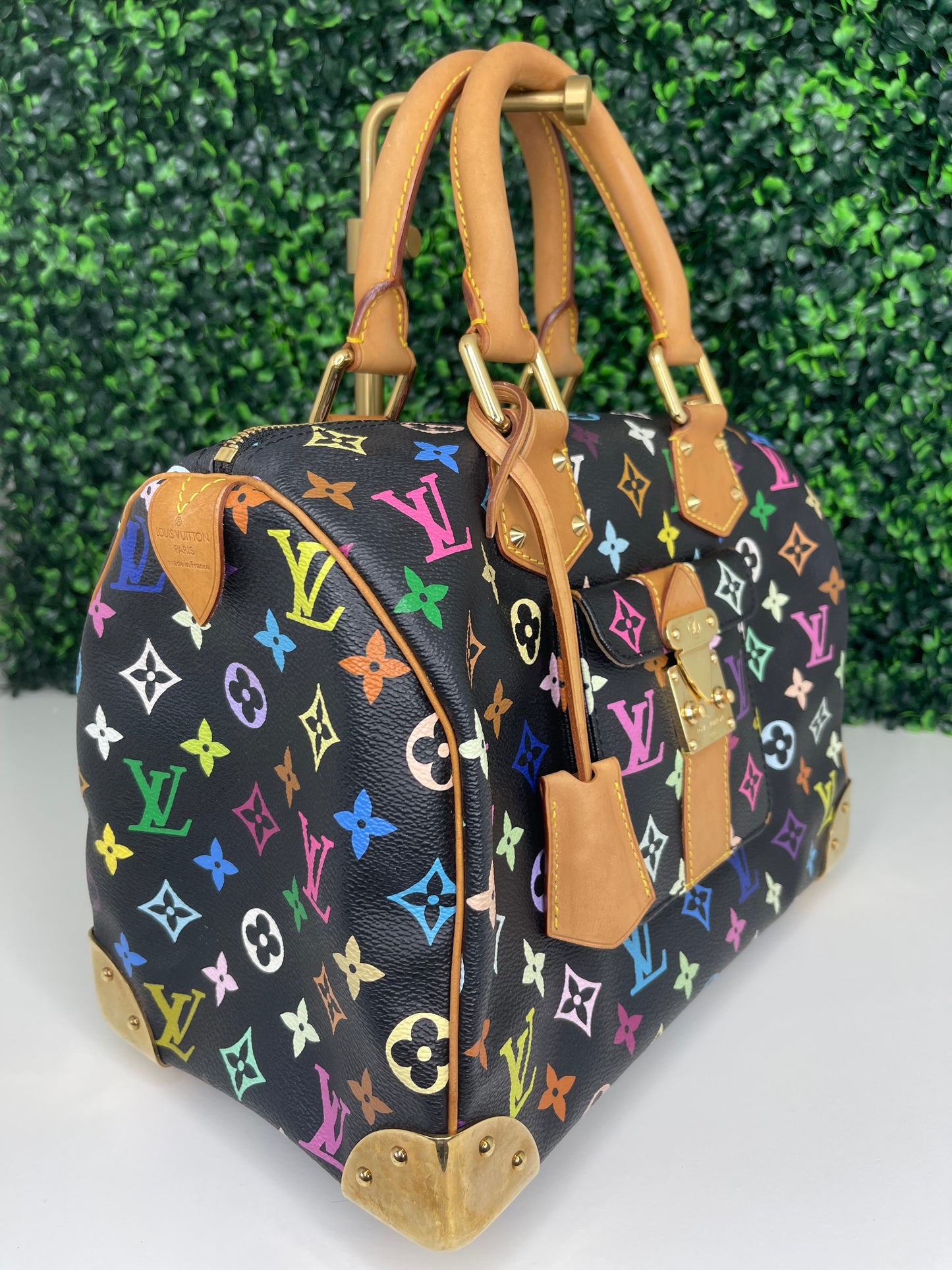 Louis Vuitton Black Multicolor Speedy 30 (SP1014)