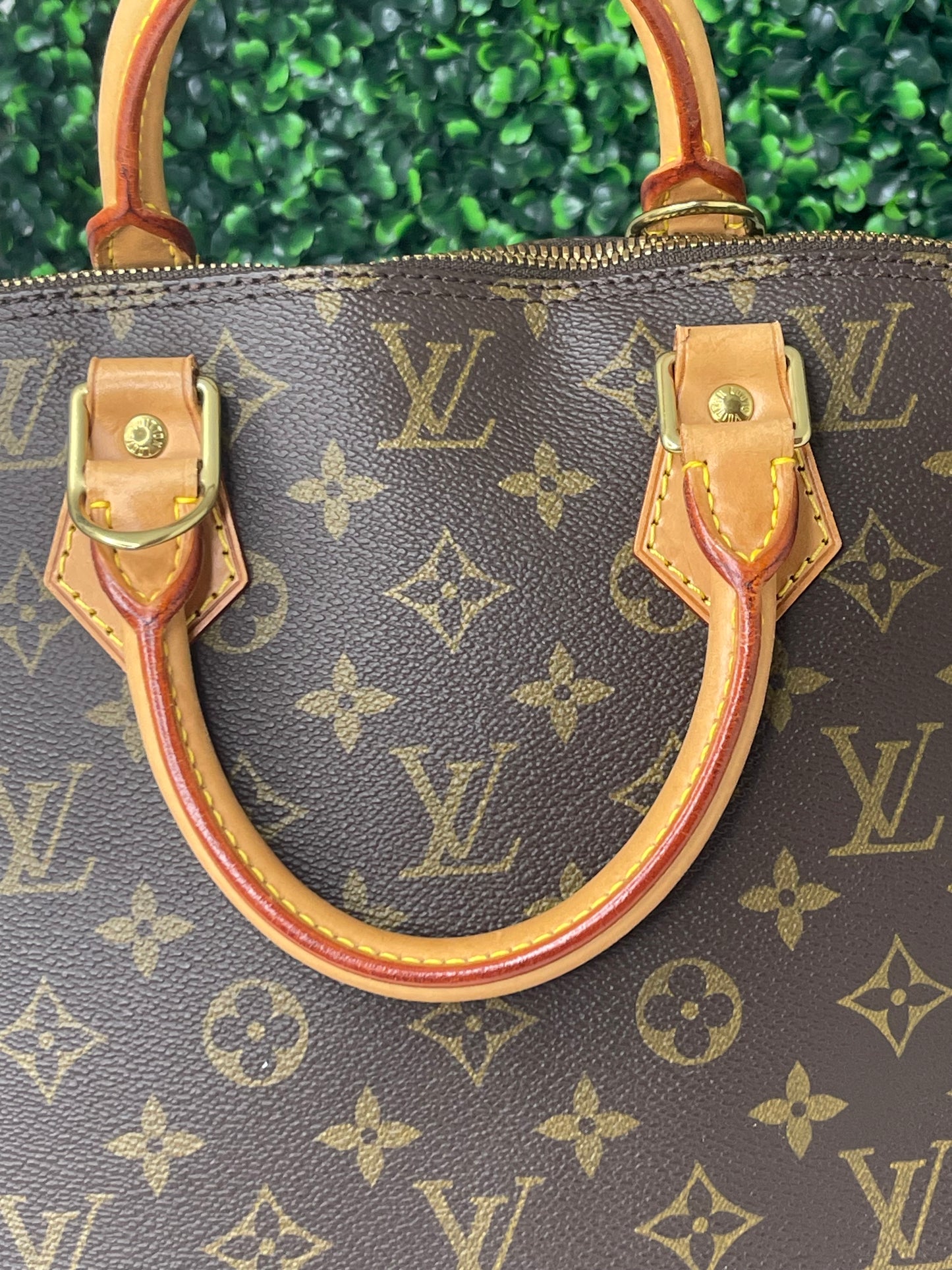 Louis Vuitton Monogram Alma PM