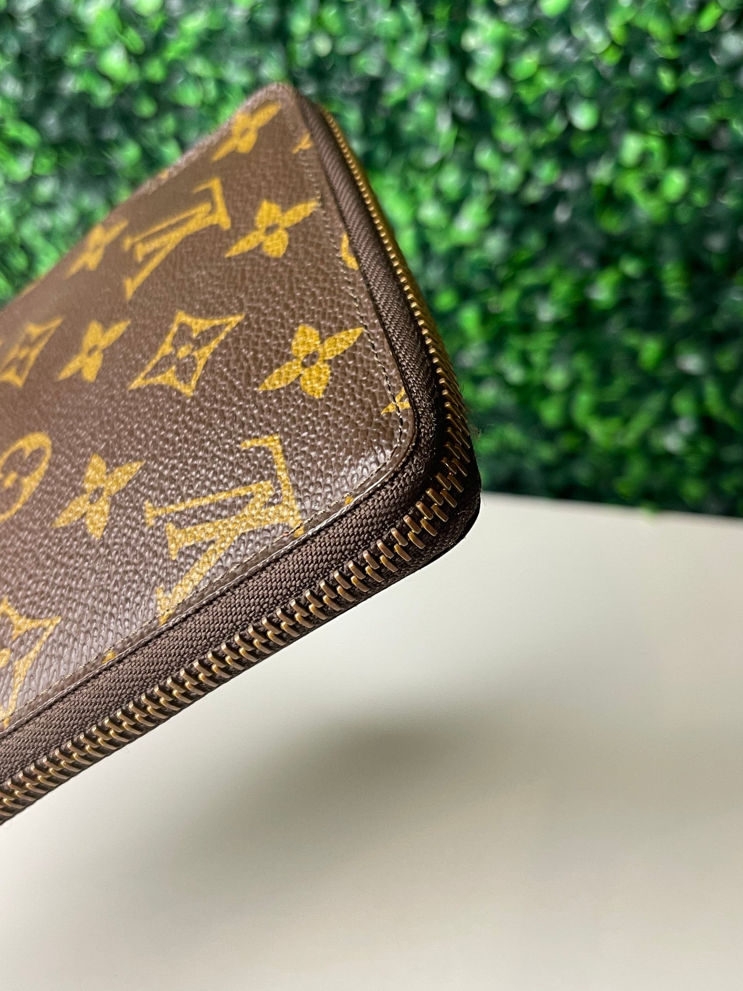 LV Monogram Travel Organizer