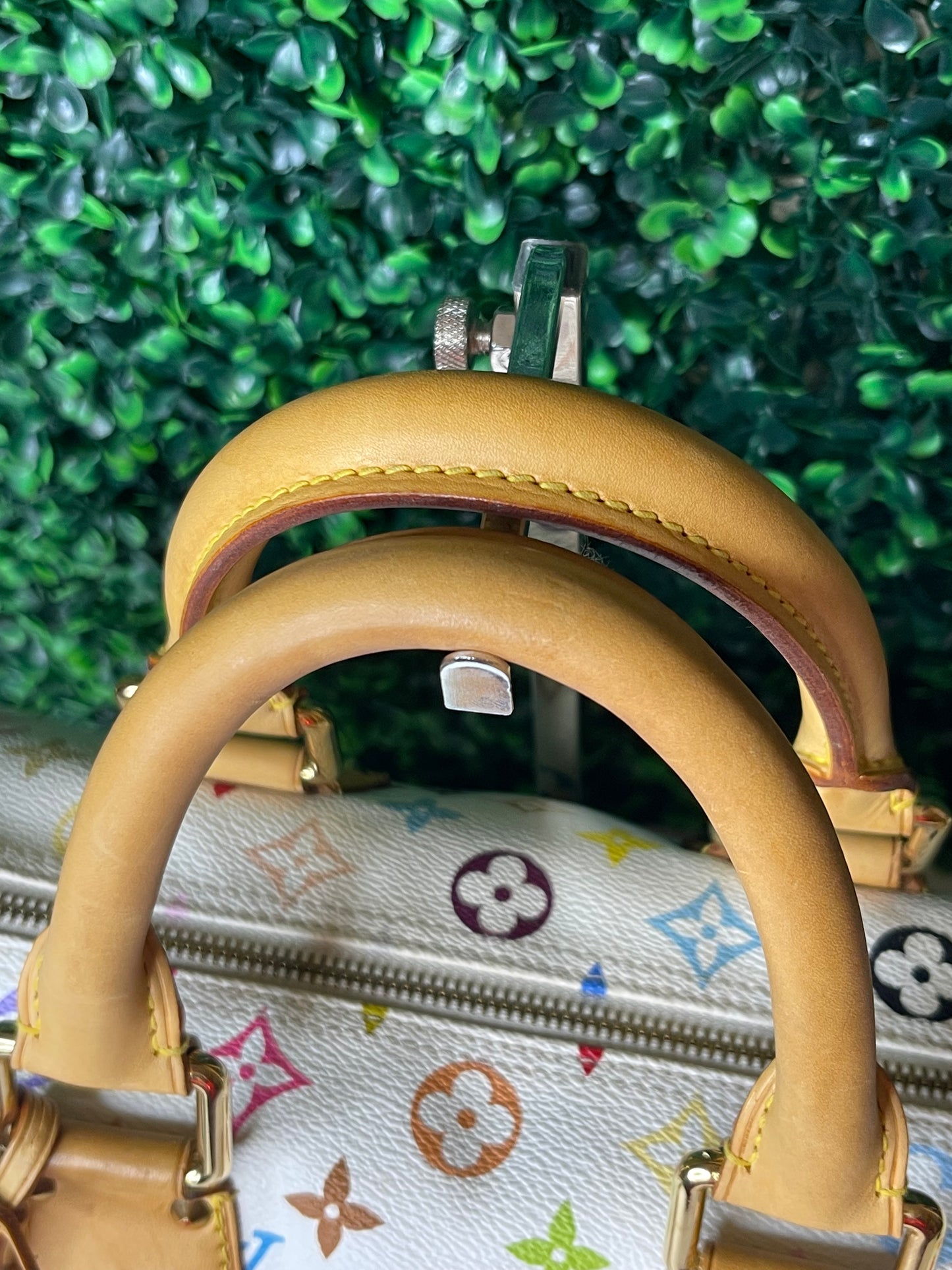 LV Multicolor Speedy 30