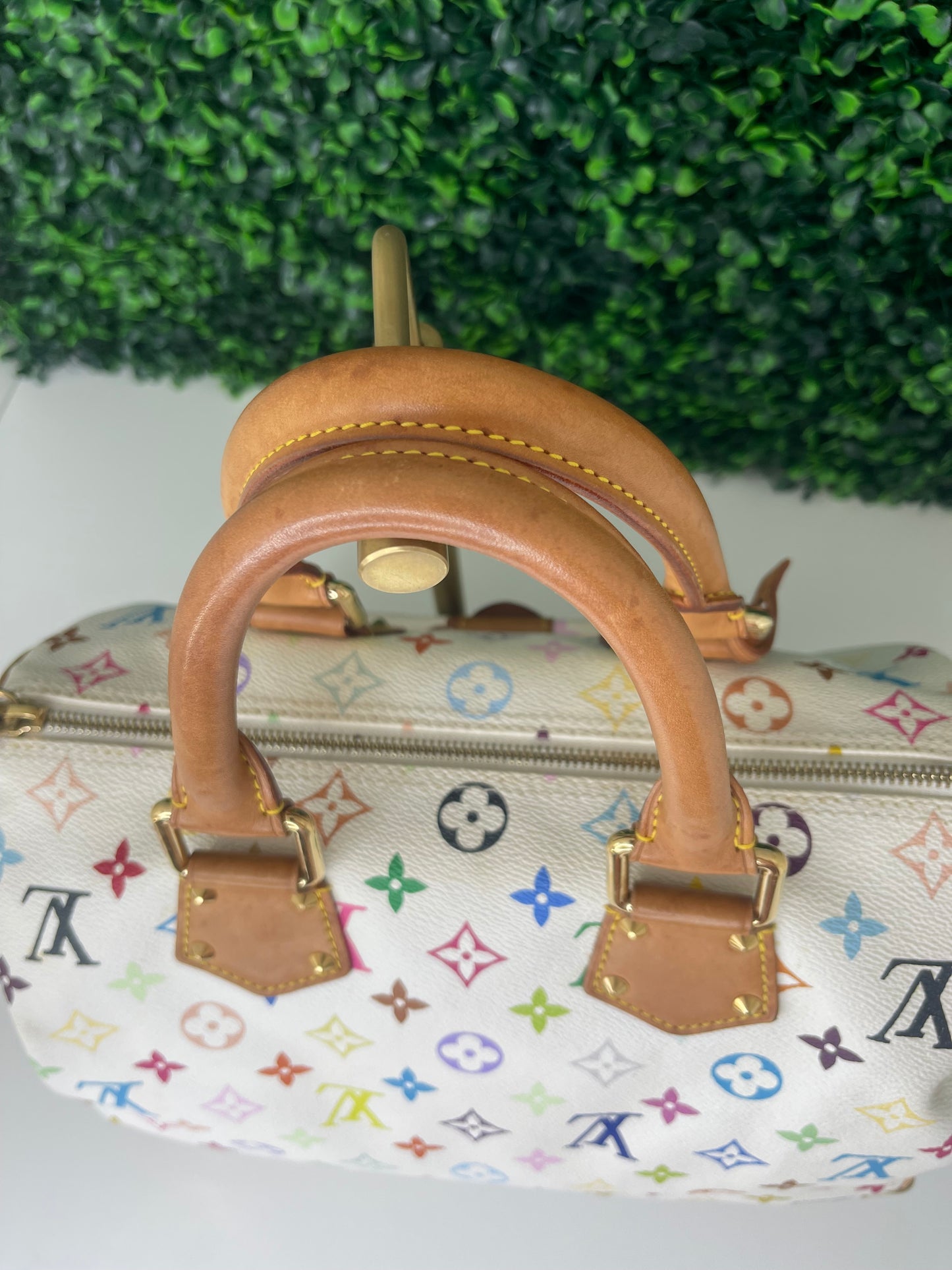 Preowned Louis Vuitton Multicolor Speedy 30