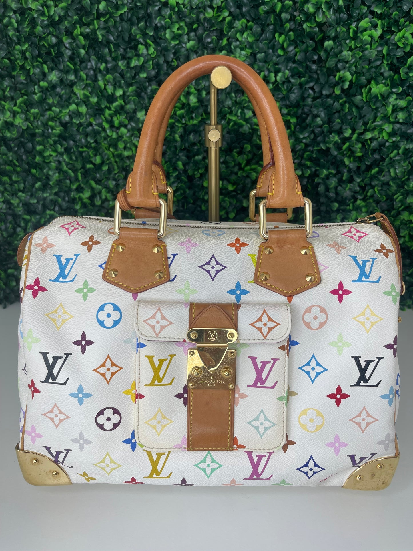 Preowned Louis Vuitton Multicolor Speedy 30