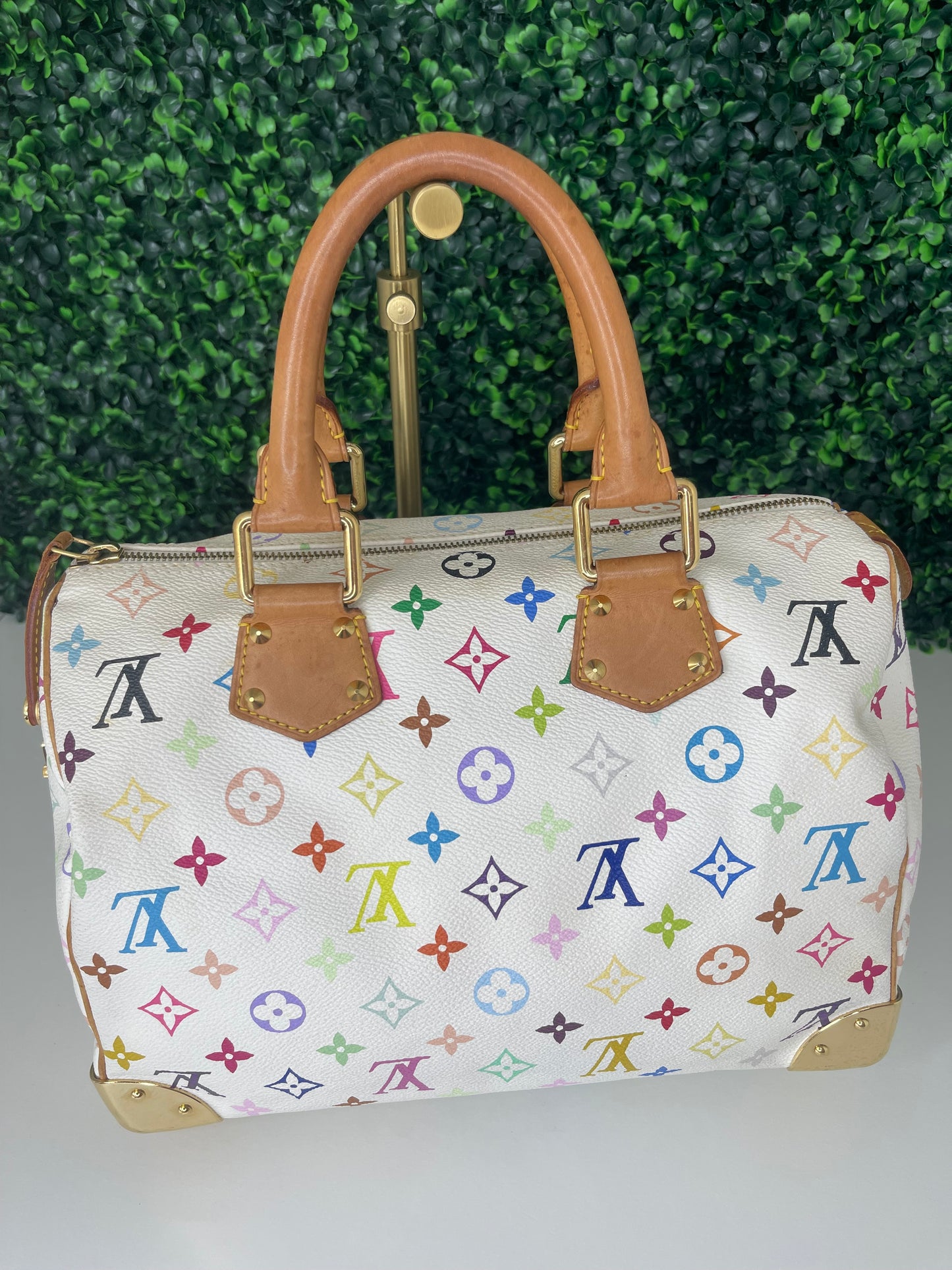 Preowned Louis Vuitton Multicolor Speedy 30