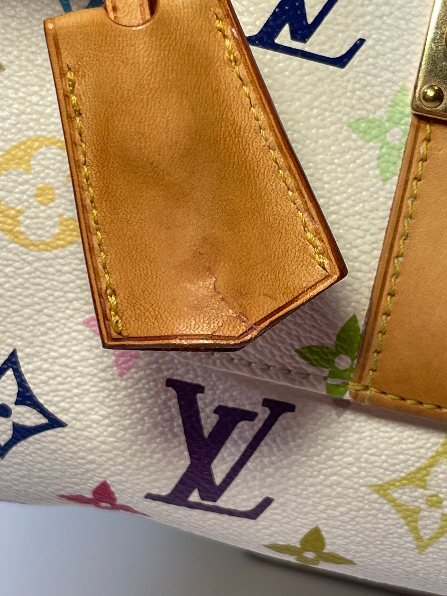 LV Multicolor Speedy 30