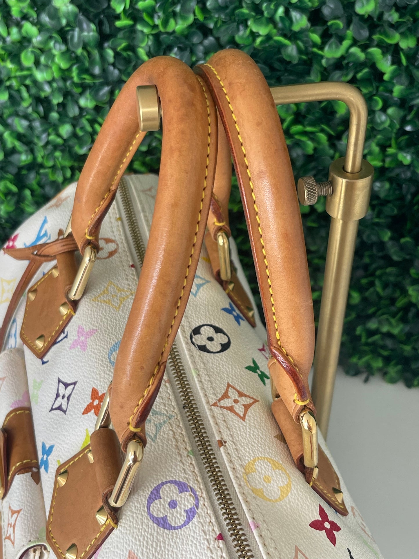 Preowned Louis Vuitton Multicolor Speedy 30