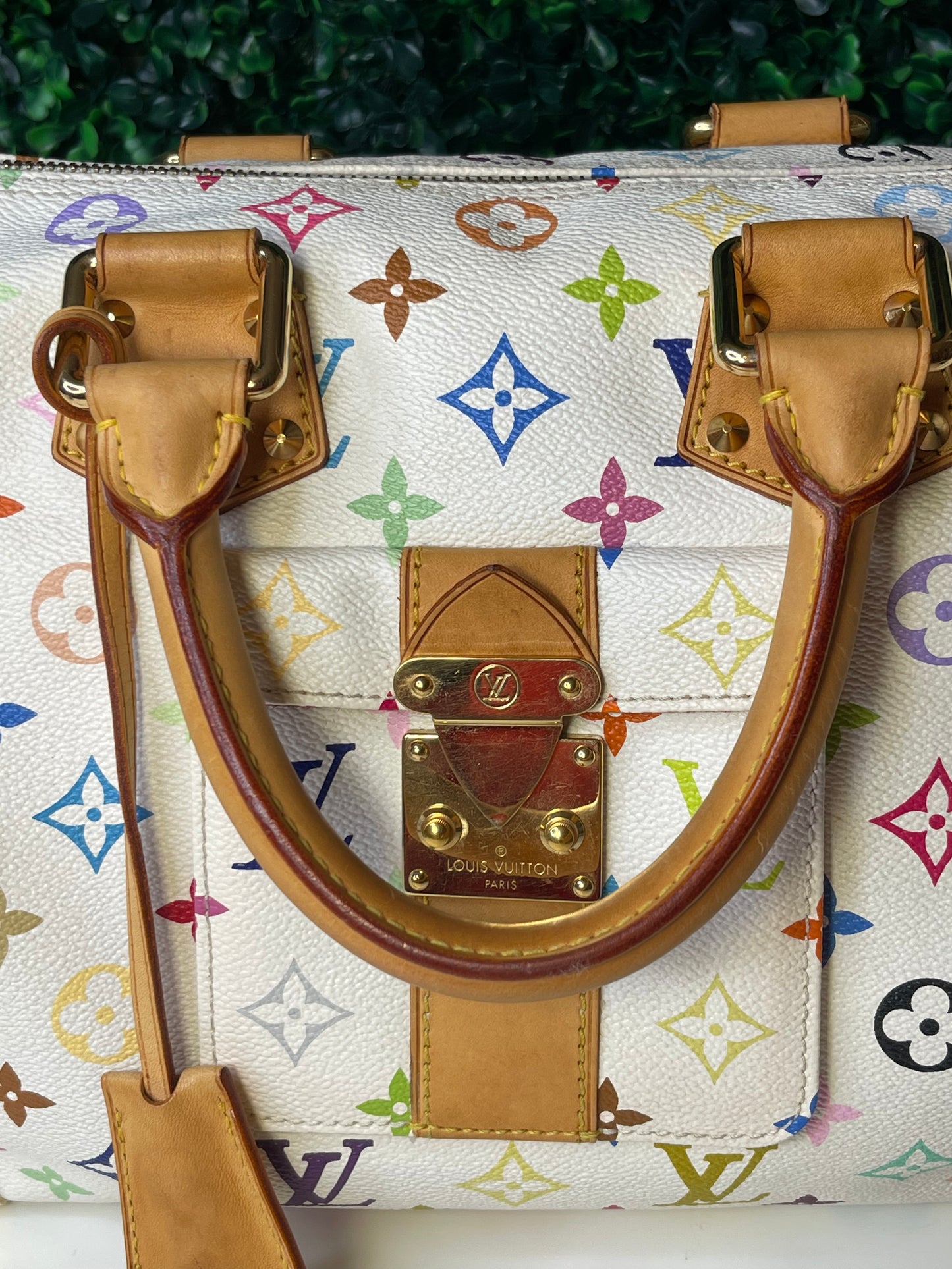 LV Multicolor Speedy 30