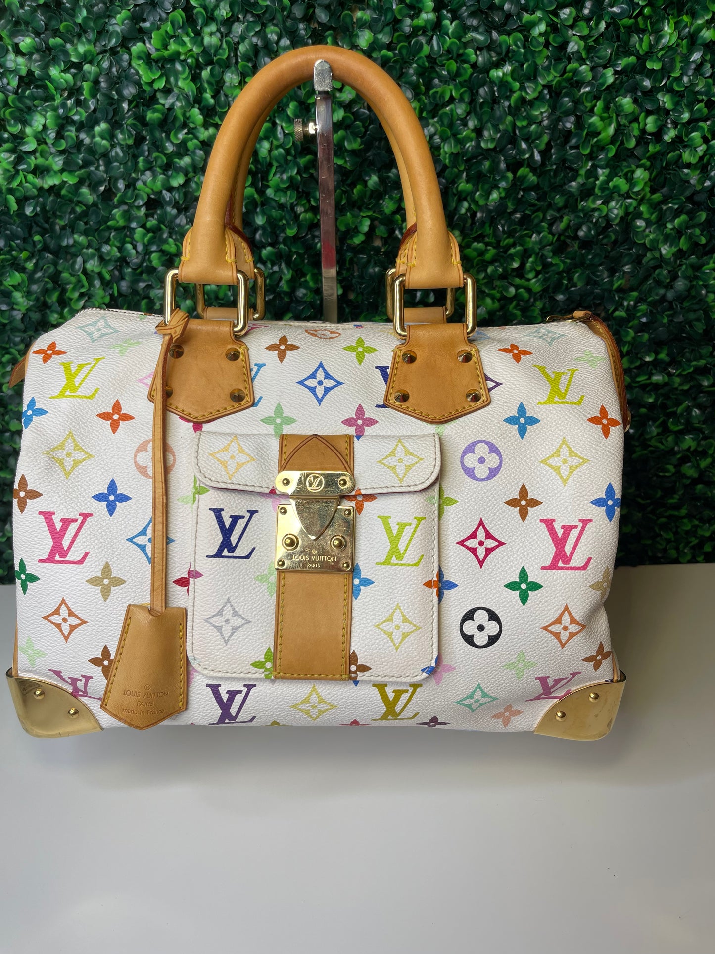 LV Multicolor Speedy 30