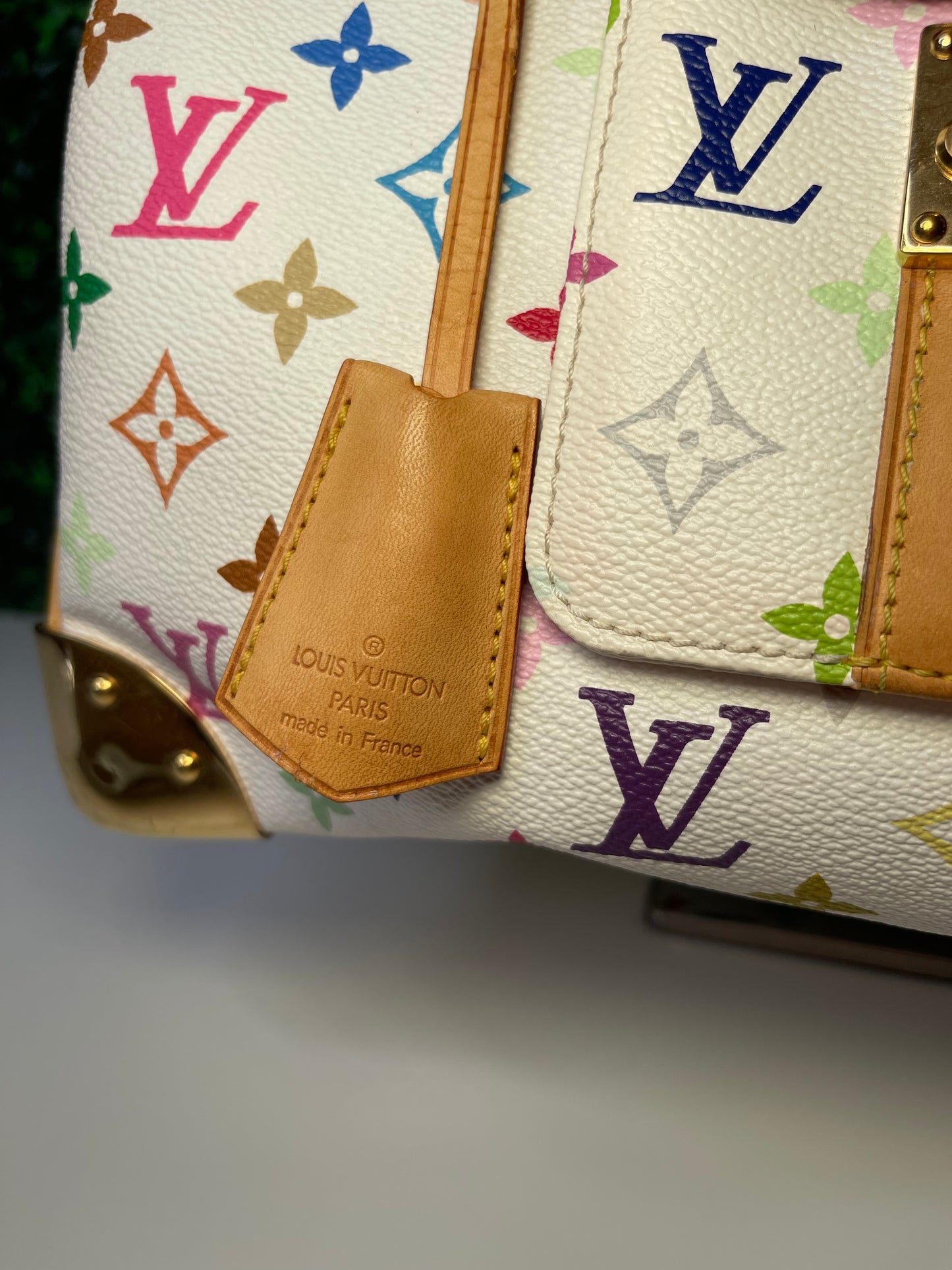 LV Multicolor Speedy 30