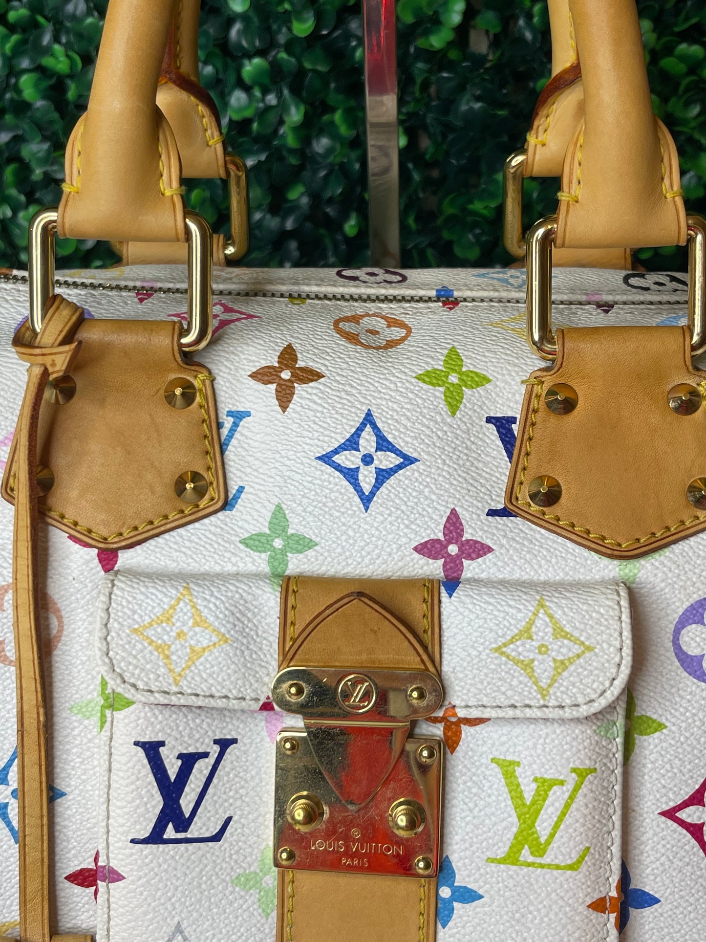 LV Multicolor Speedy 30