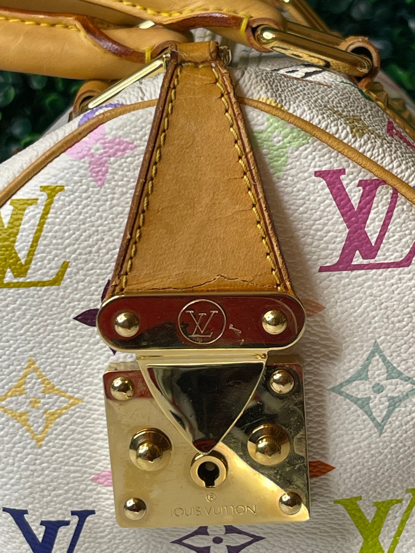 LV Multicolor Speedy 30