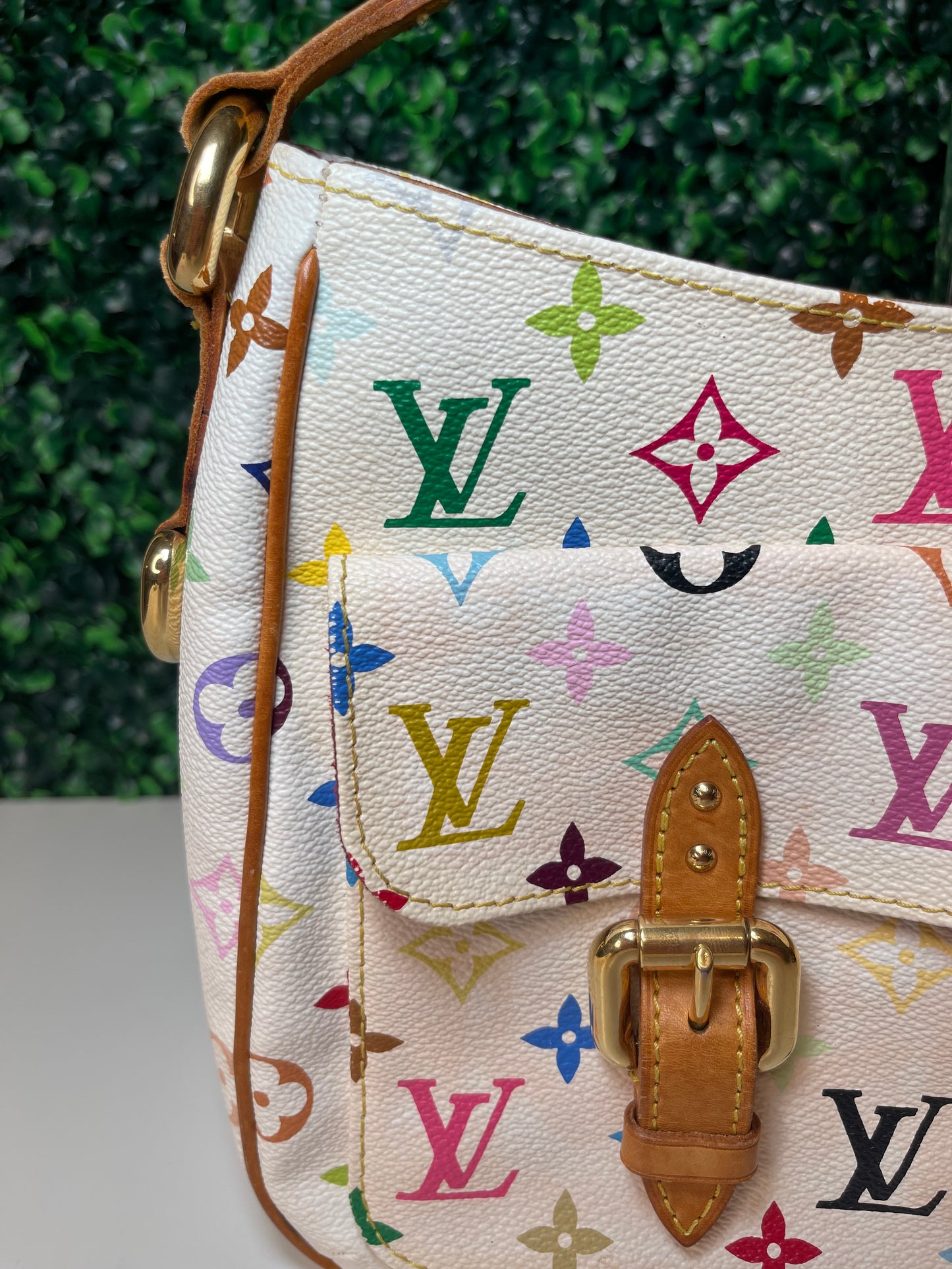 Louis Vuitton Multicolor Lodge GM