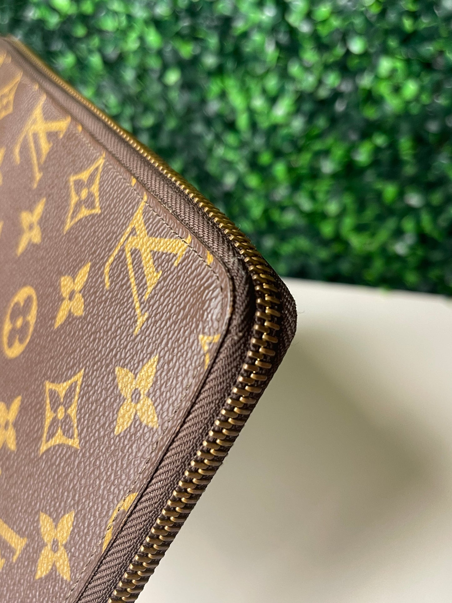 LV Monogram Travel Organizer