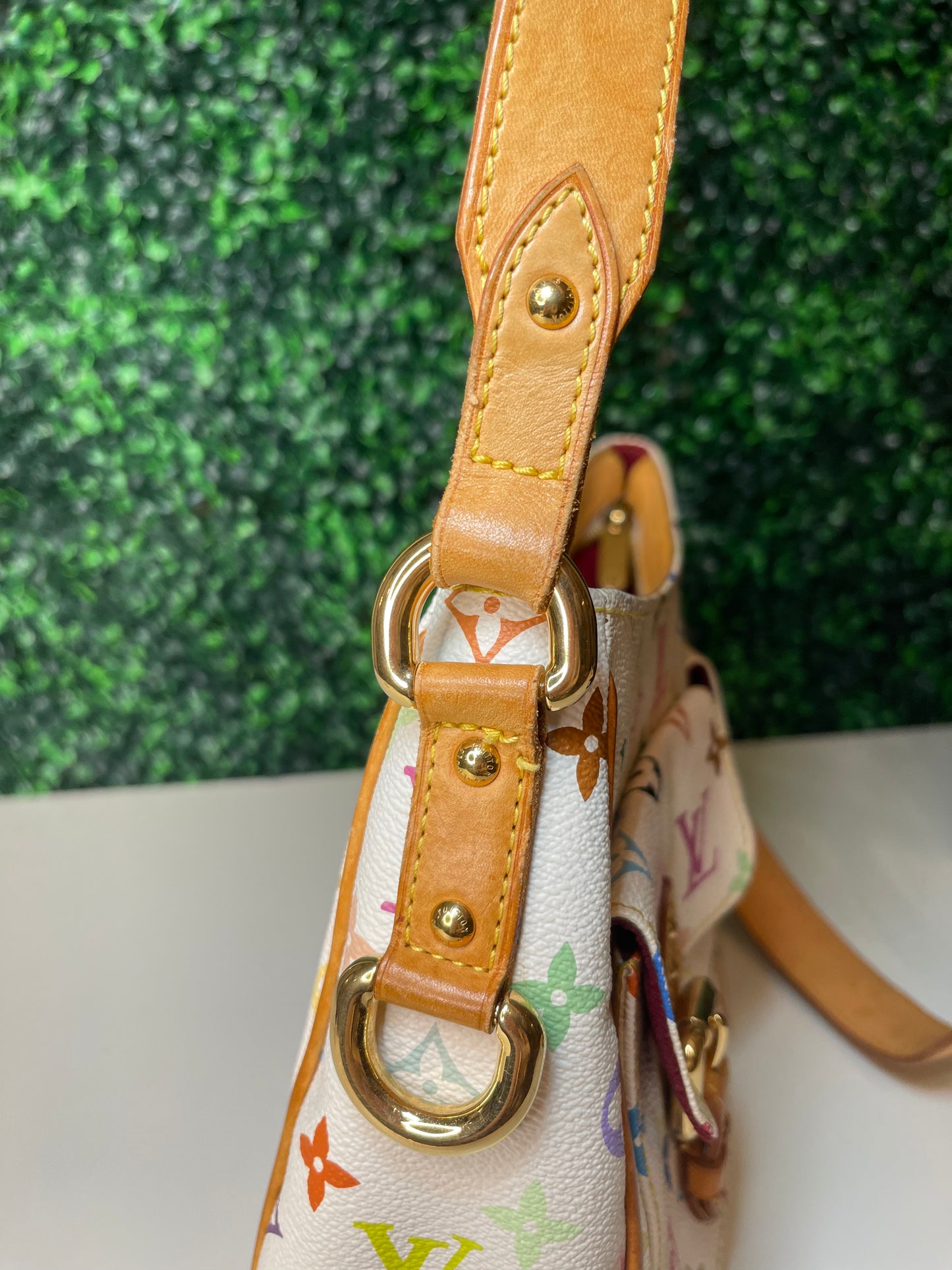 Louis Vuitton Multicolor Lodge GM