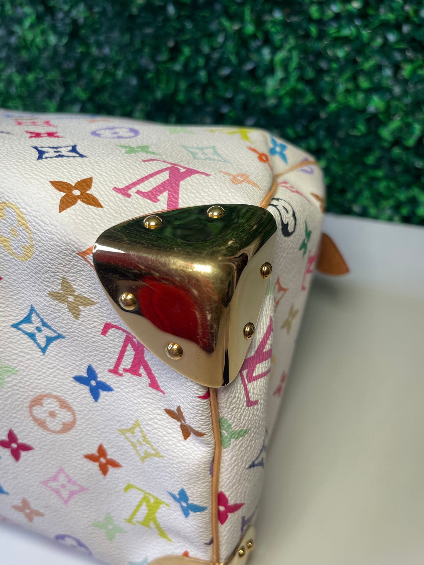 LV Multicolor Speedy 30