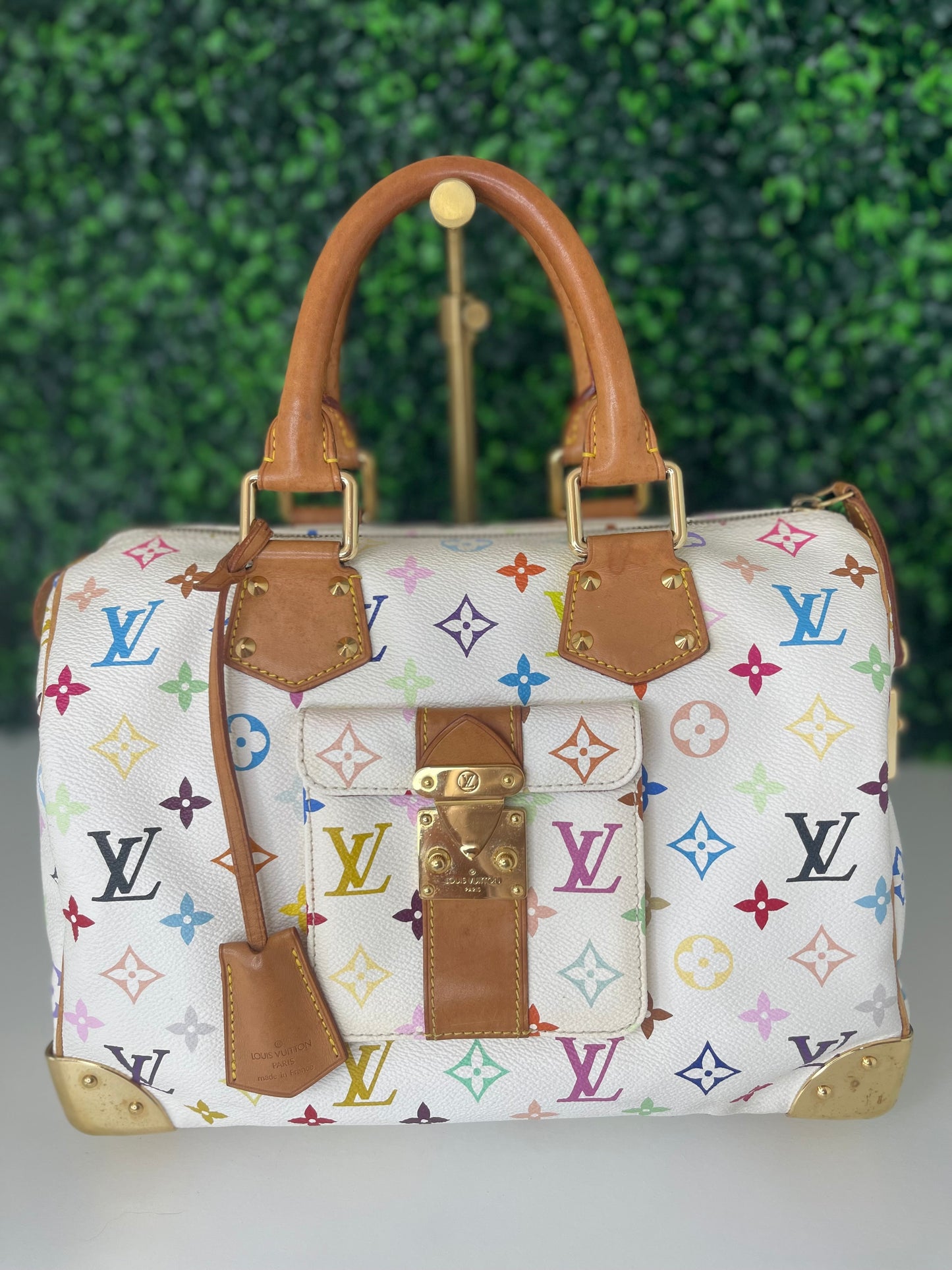 Preowned Louis Vuitton Multicolor Speedy 30