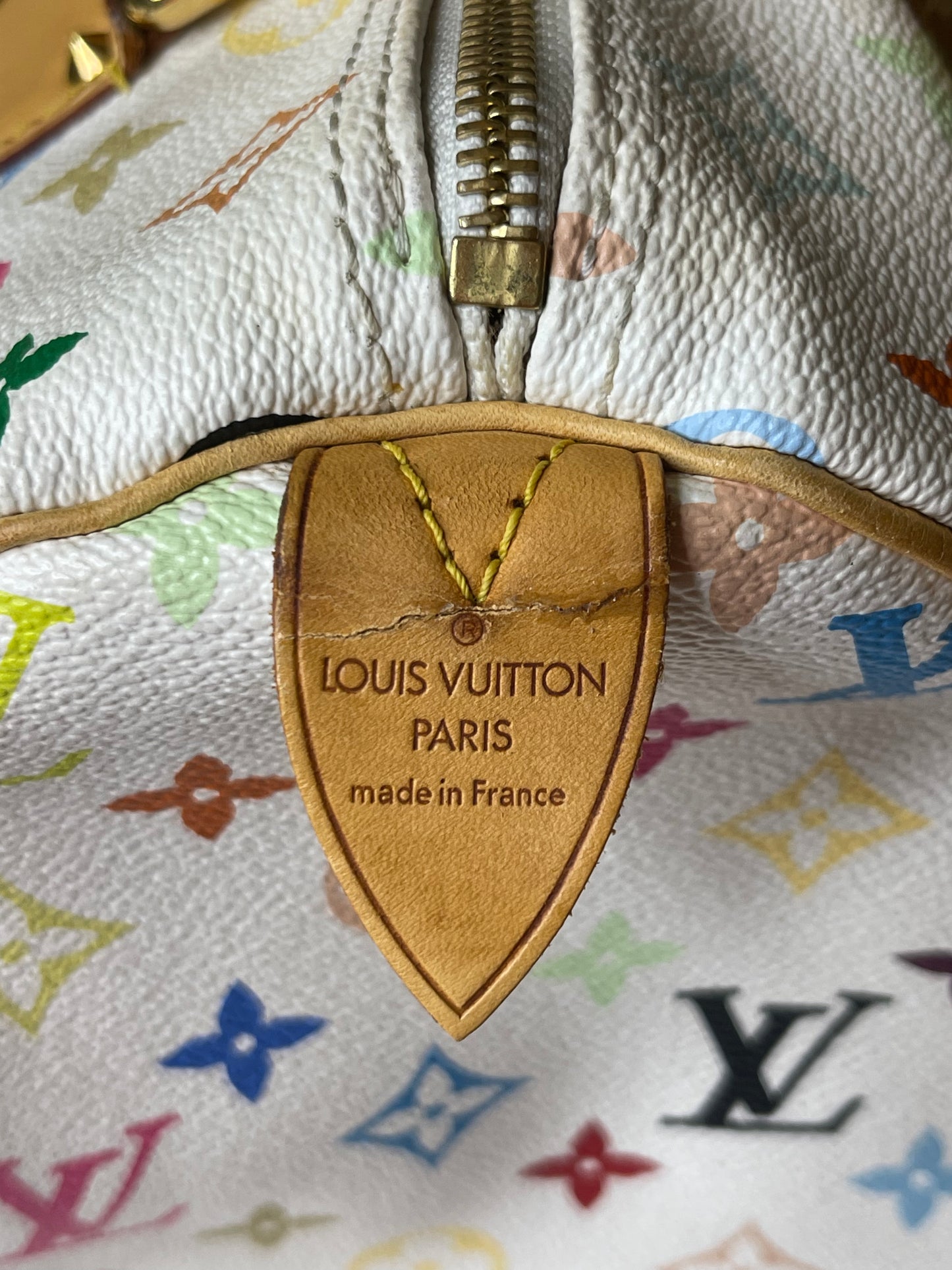 LV Multicolor Speedy 30