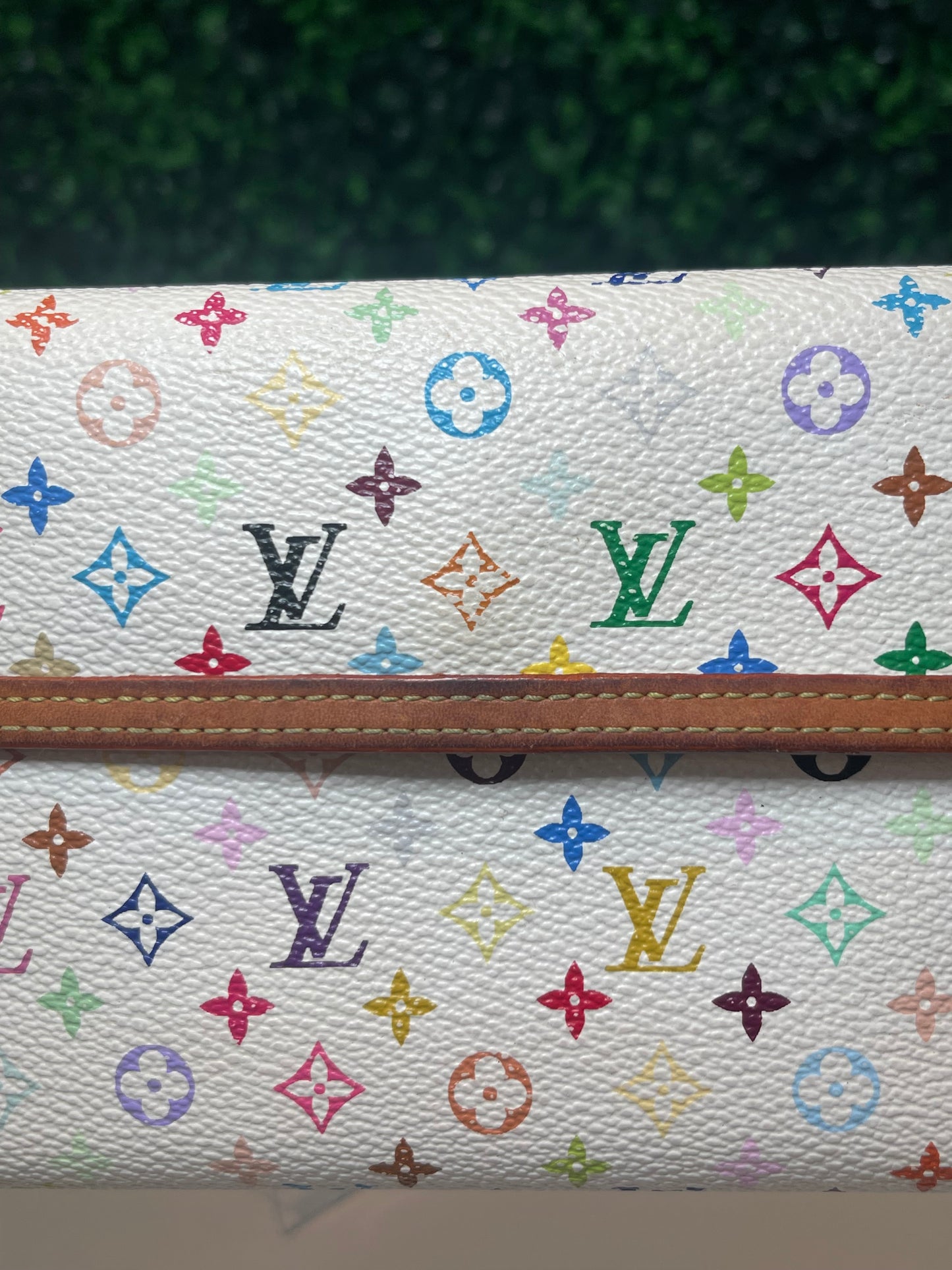 Louis Vuitton Multicolor Porte Tresor International Wallet