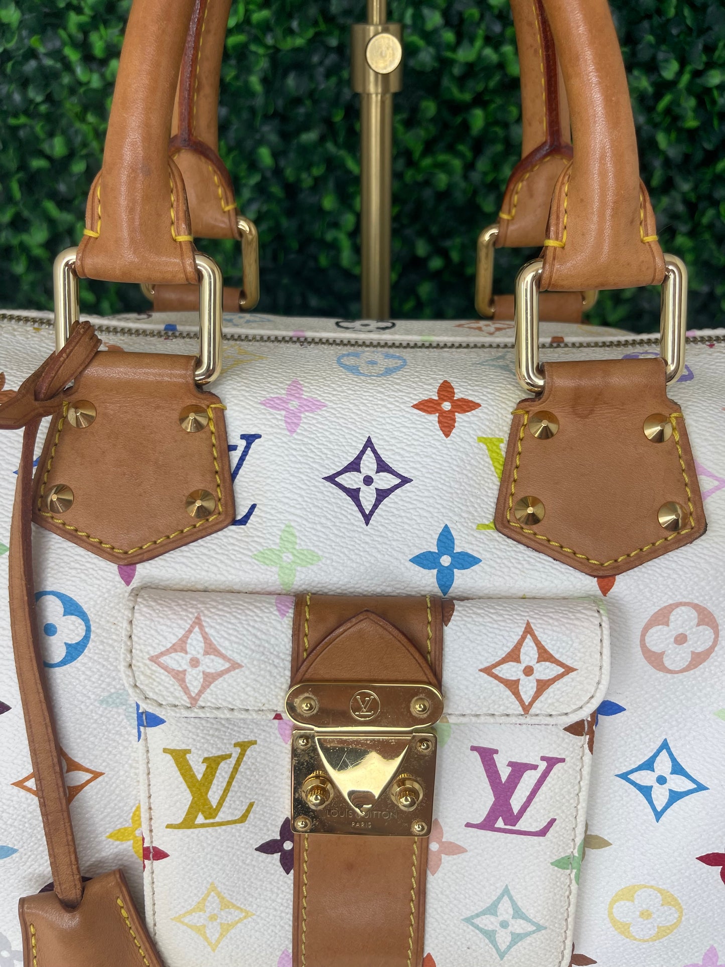 Preowned Louis Vuitton Multicolor Speedy 30