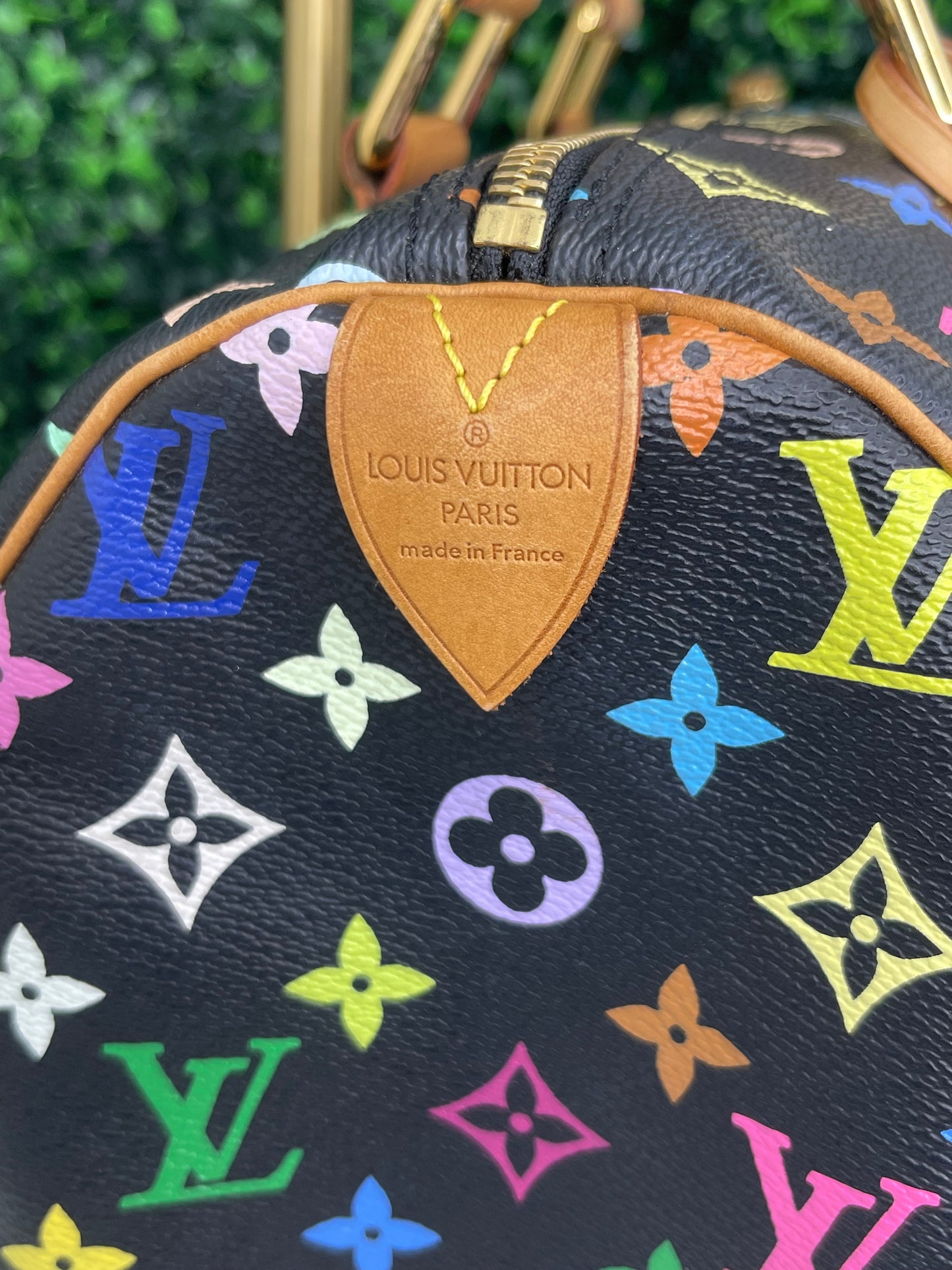 Louis Vuitton Black Multicolor Speedy 30 (SP1014)