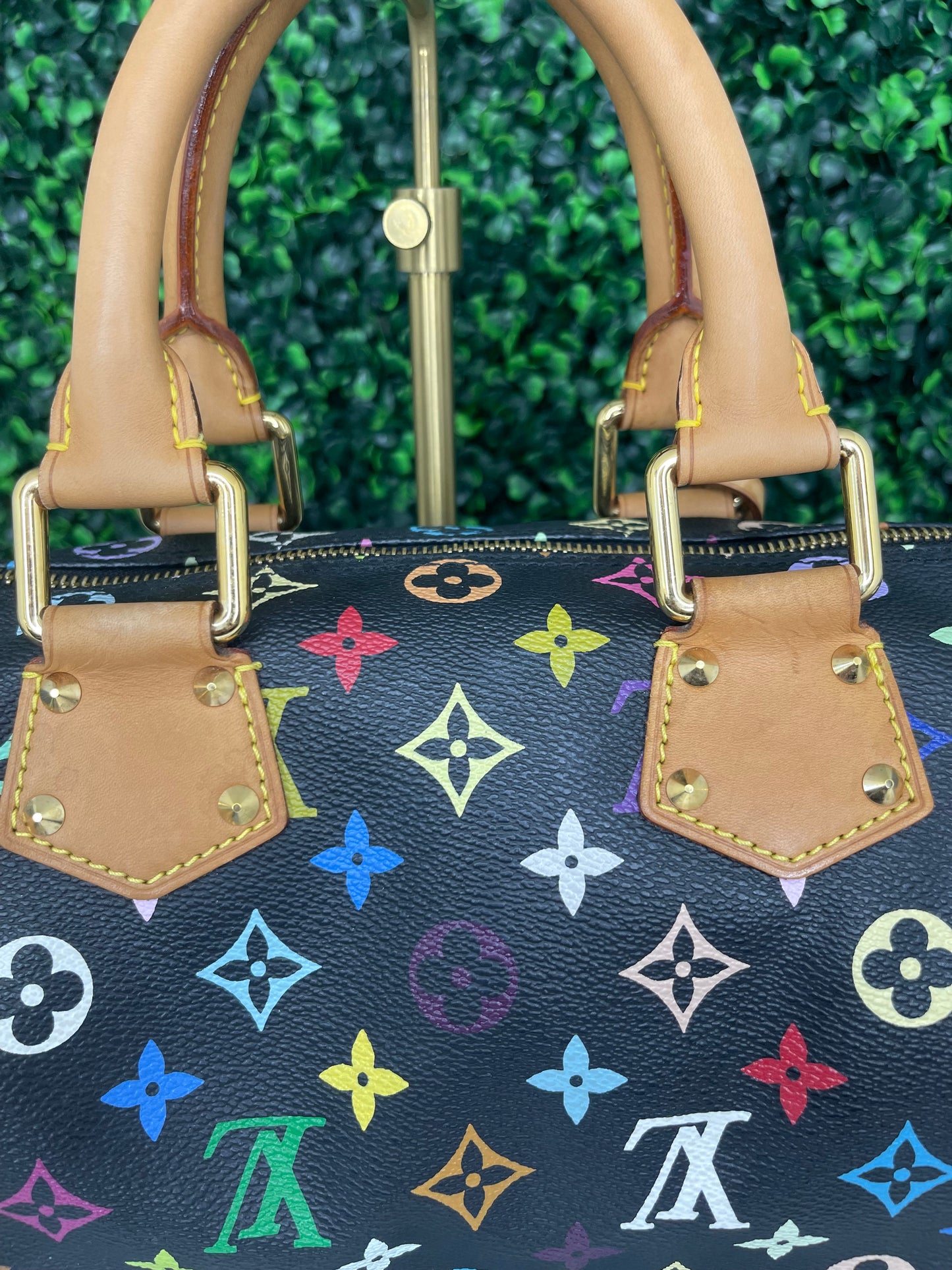 Louis Vuitton Black Multicolor Speedy 30 (SP1014)