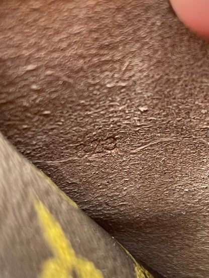 RARE! Louis Vuitton Monogram Portable Serviette Organizer Crossbody