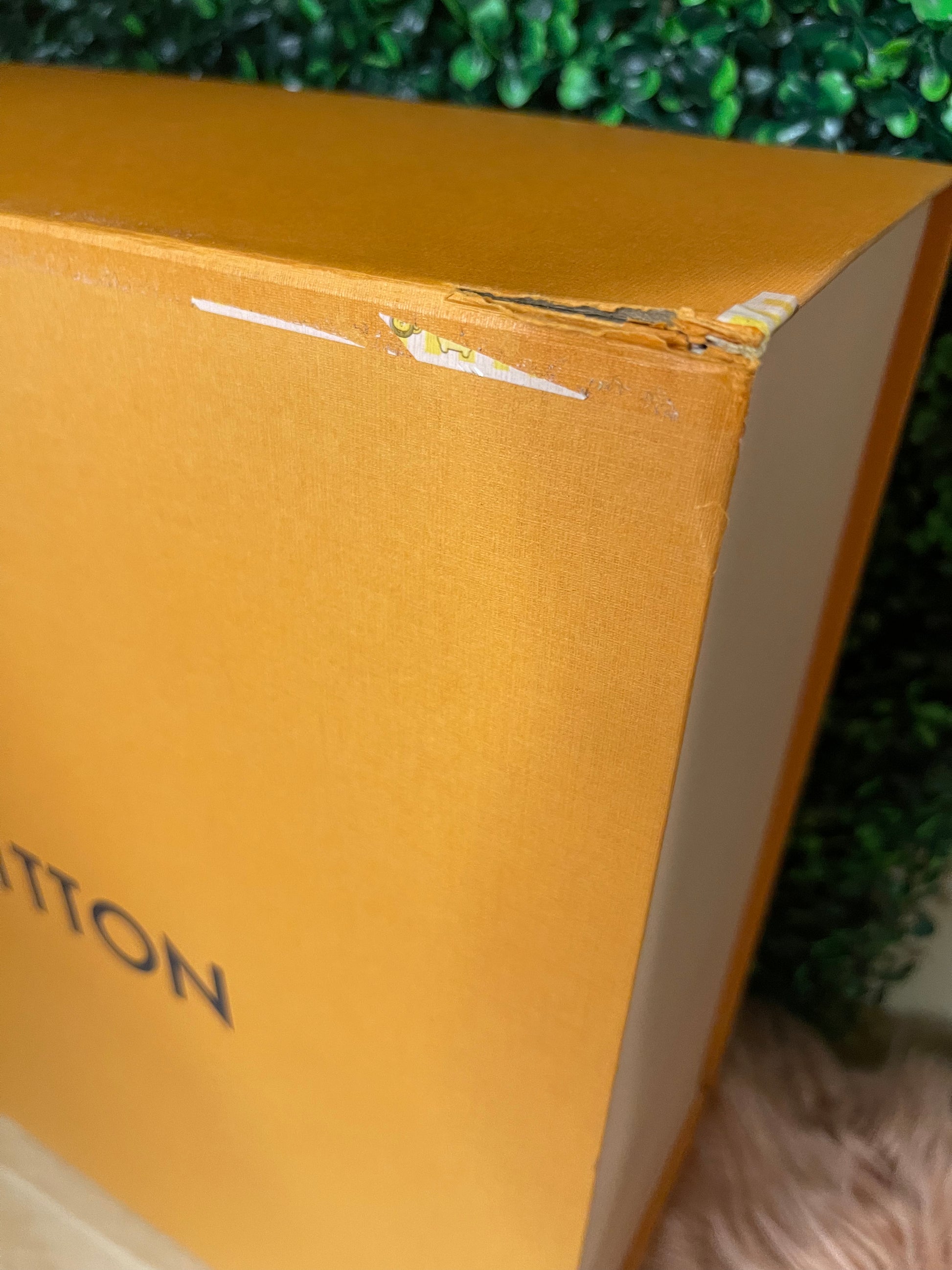 Box Opening - Louis Vuitton Neverfull 