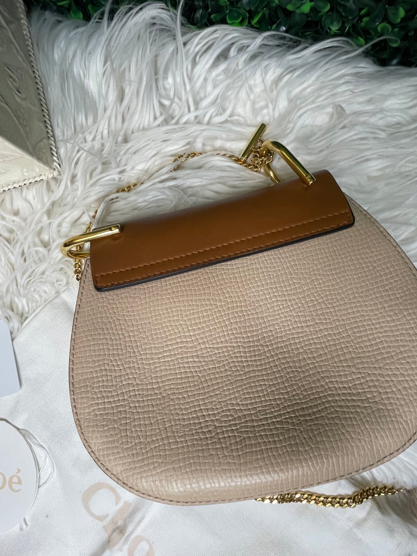 Chloe Mini Bi-Color Shoulder Bag