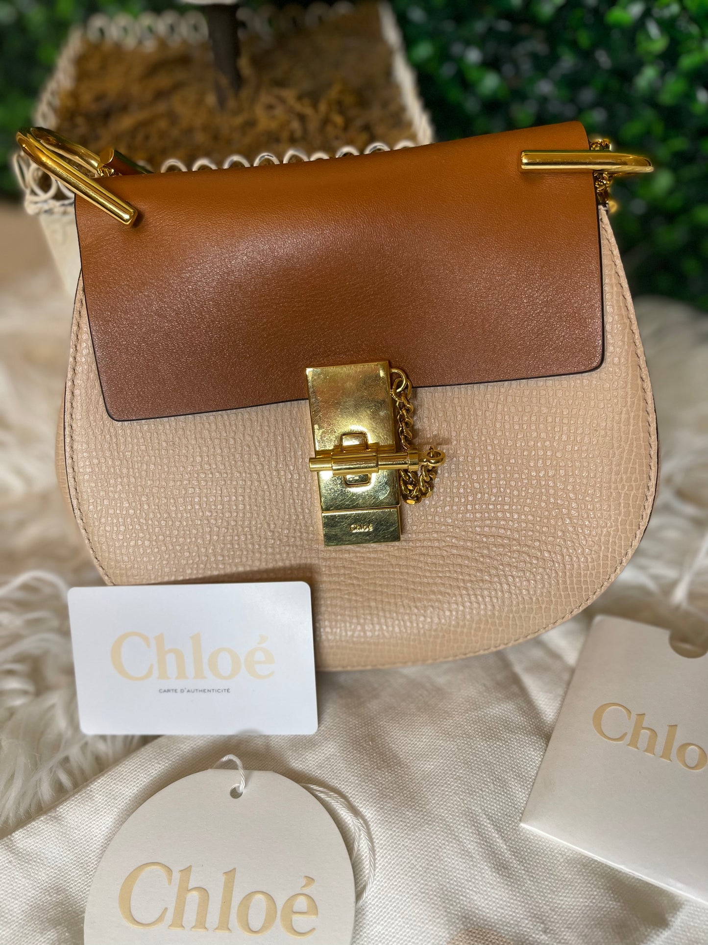 Chloe Mini Bi-Color Shoulder Bag