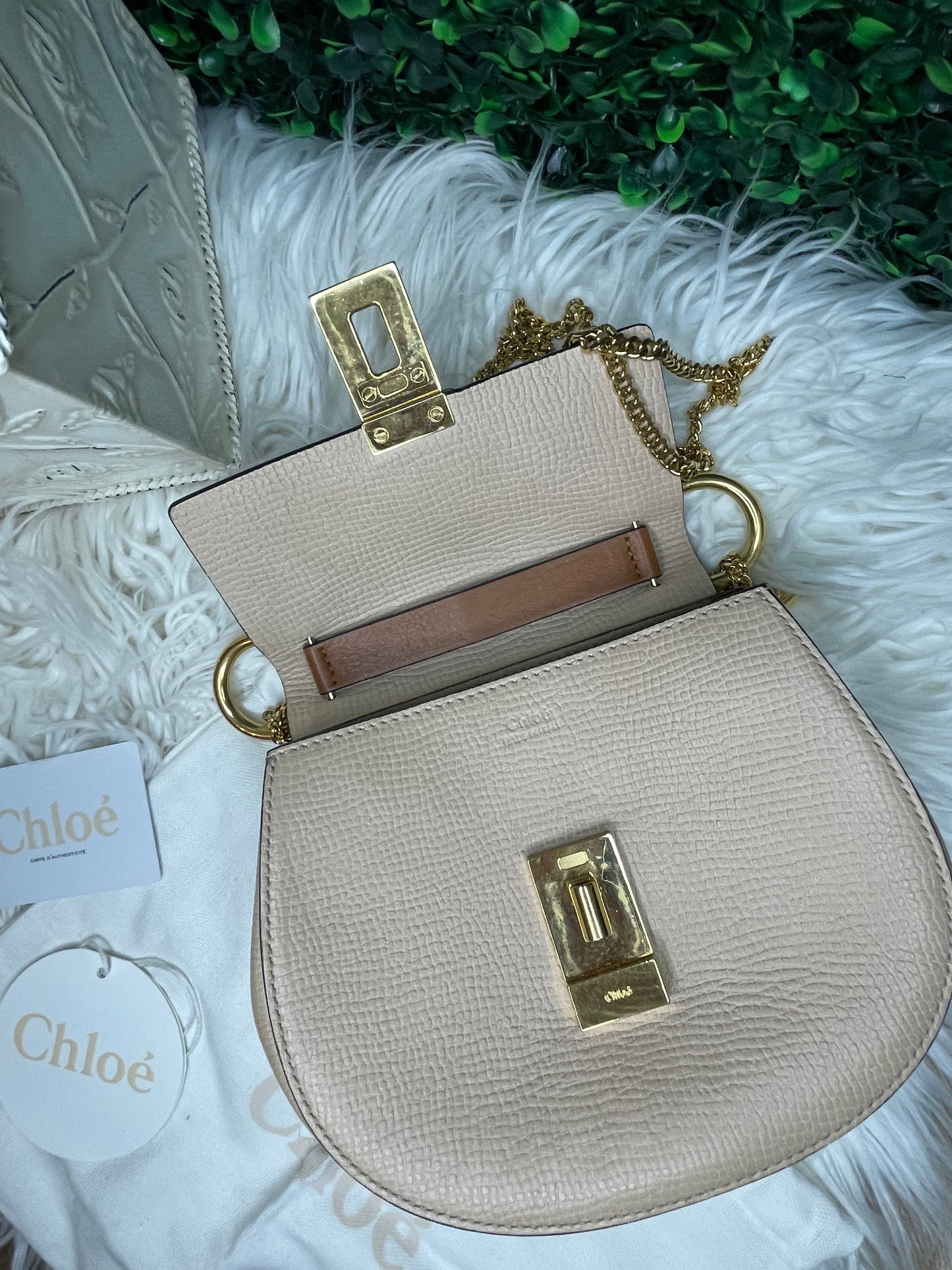 Chloe Mini Bi-Color Shoulder Bag