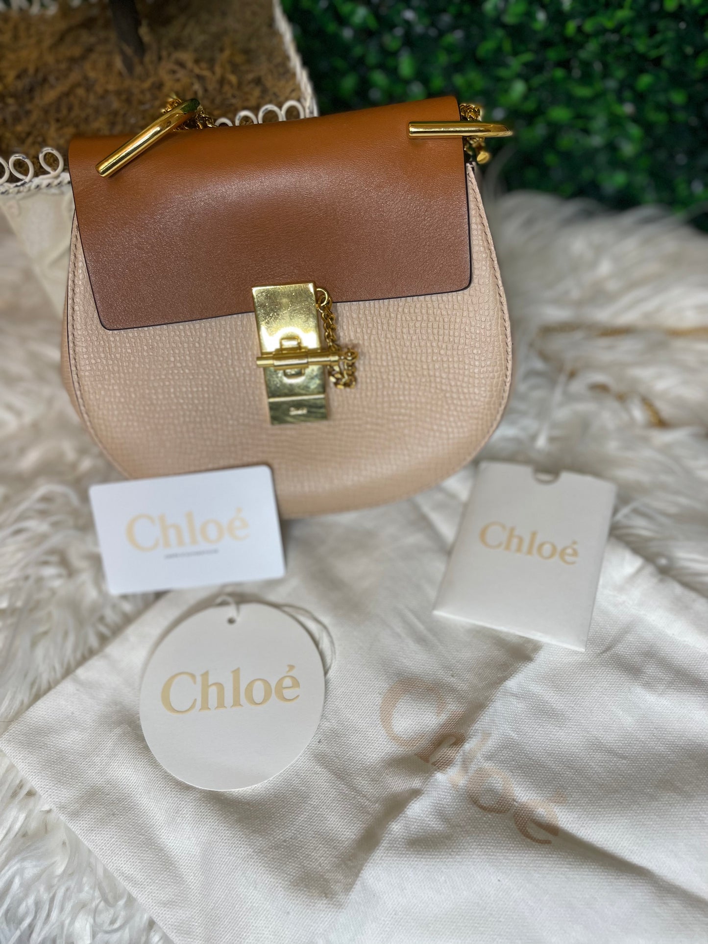 Chloe Mini Bi-Color Shoulder Bag