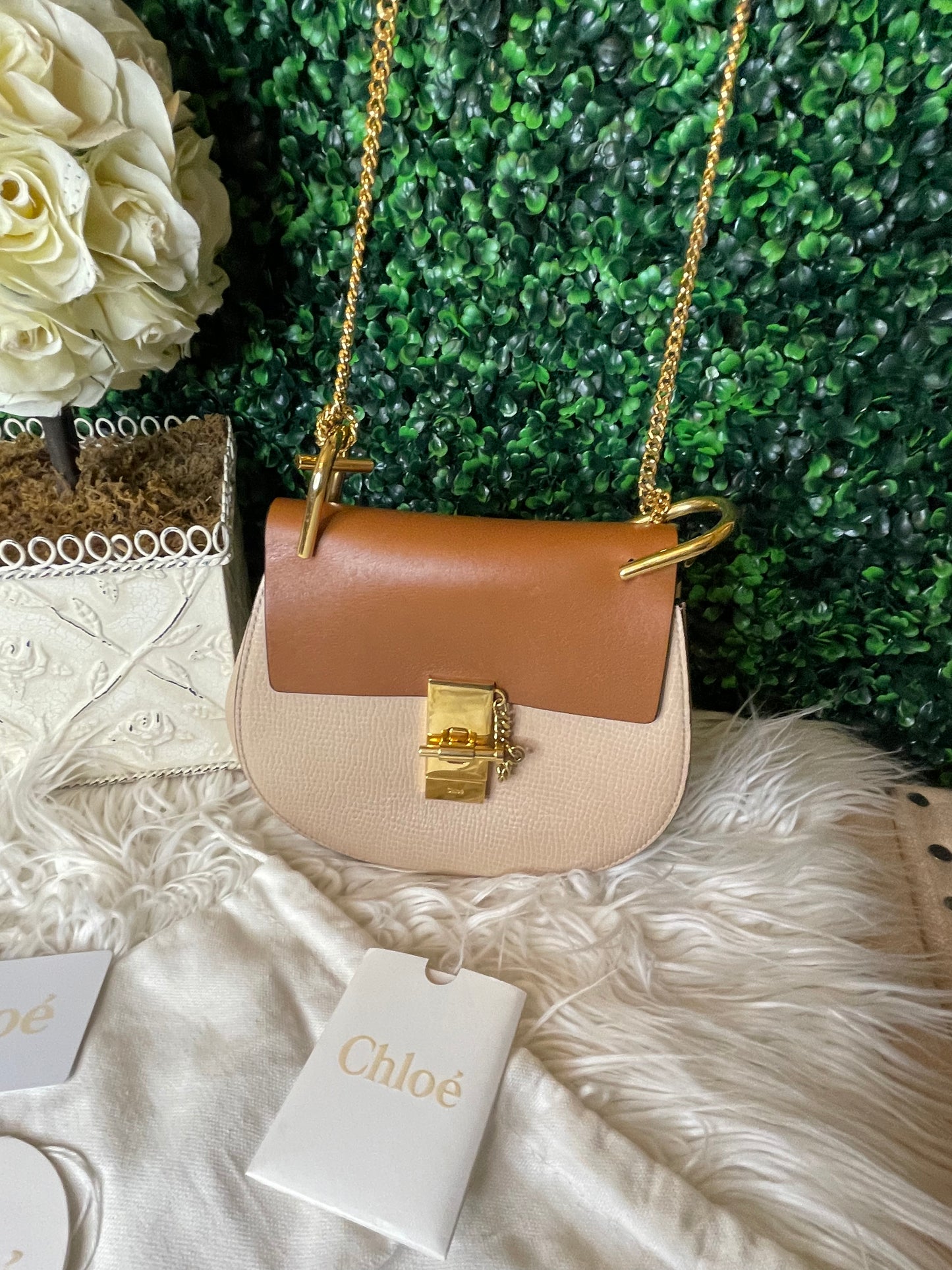 Chloe Mini Bi-Color Shoulder Bag