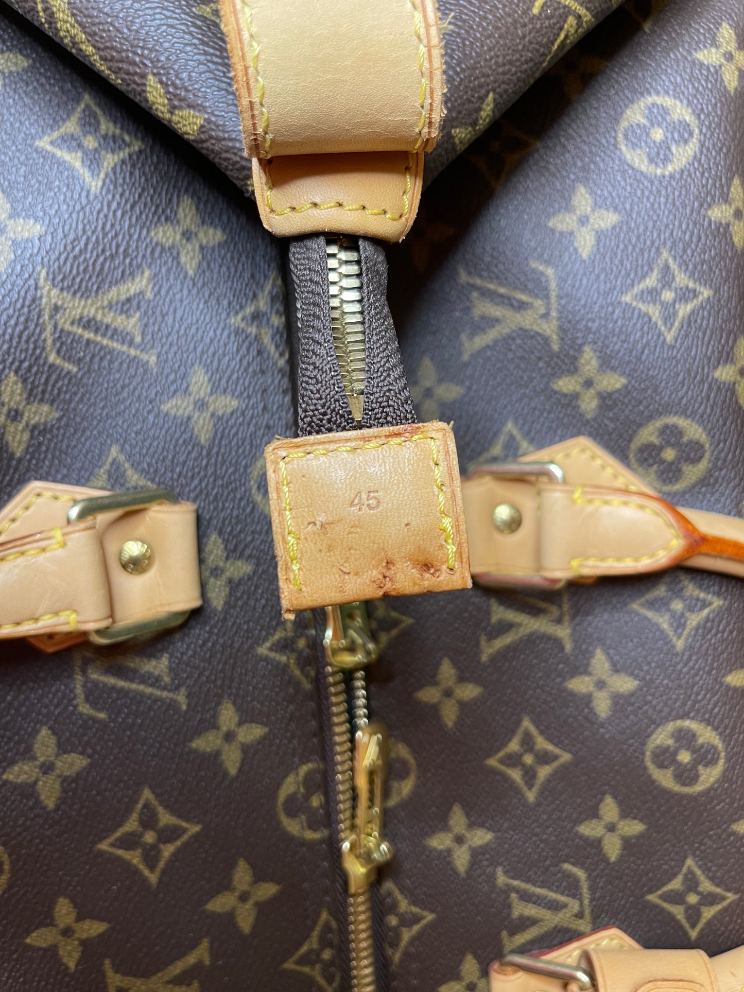 Louis Vuitton Monogram Canvas Cruiser 45 Travel Tote